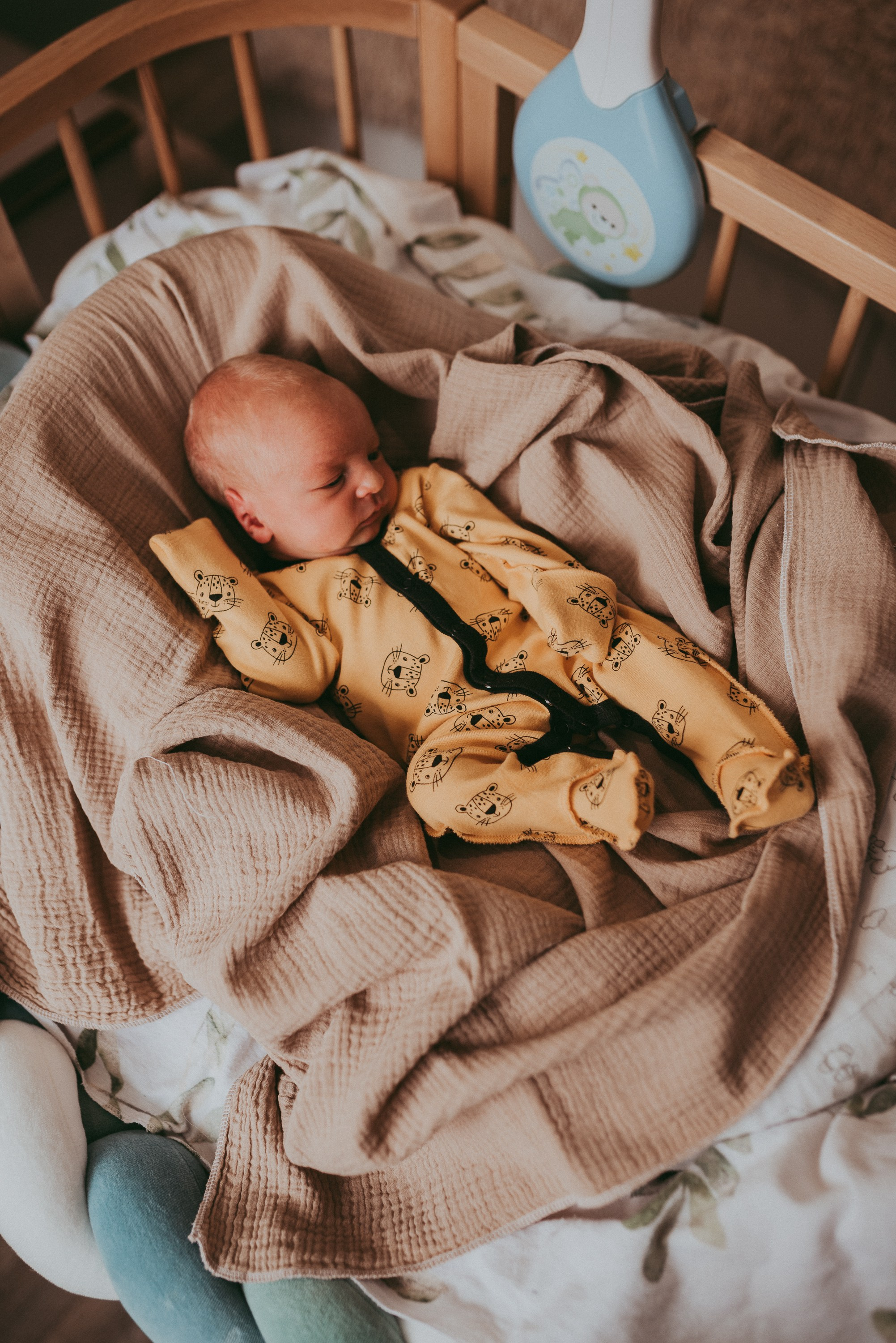 Маленький космос. Семейный и детский фотограф в Новосибирске и Краснообске — Анна Ким