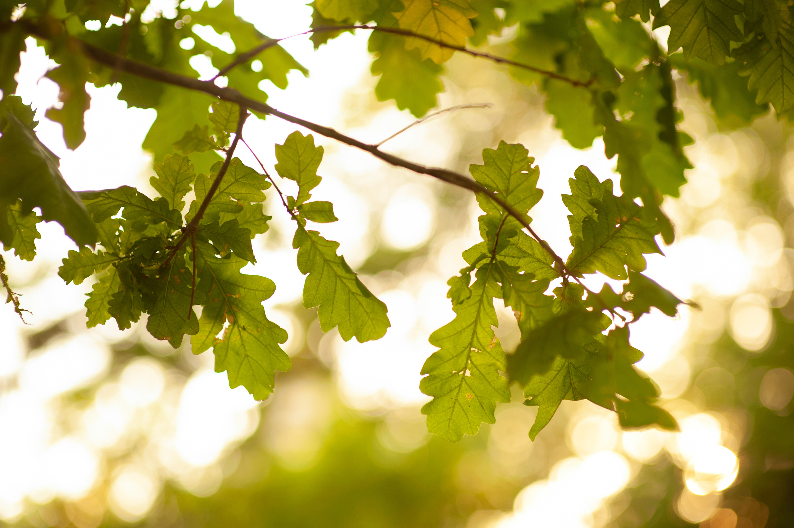 ЖДем тебя. Студийный, семейный, свадебный, фэшн и ню фотограф в Астрахани, производство выпускных альбомов. Руслан Кондрашин