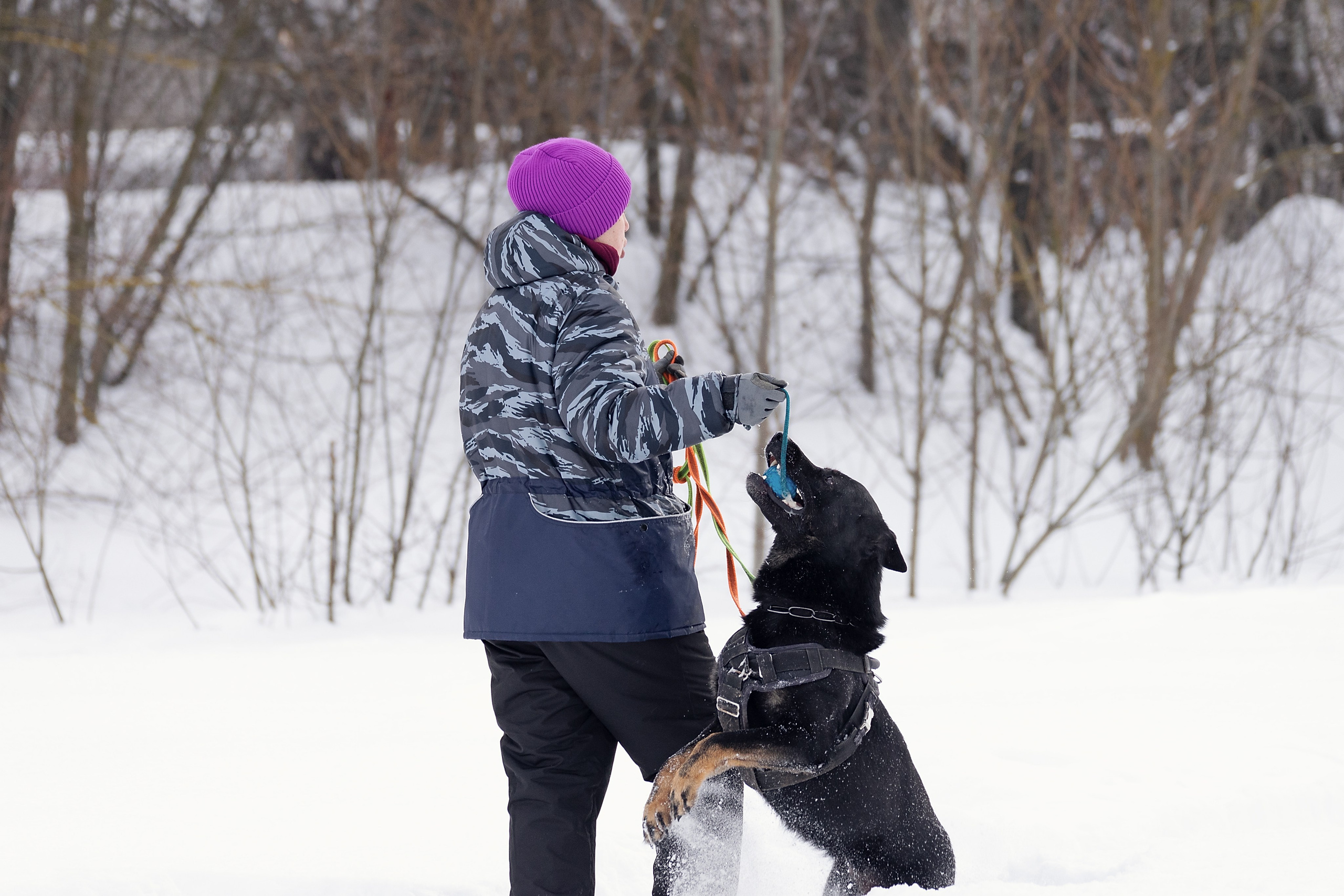 Репортажная съемка. Фотограф-анималист Нижний Новгород