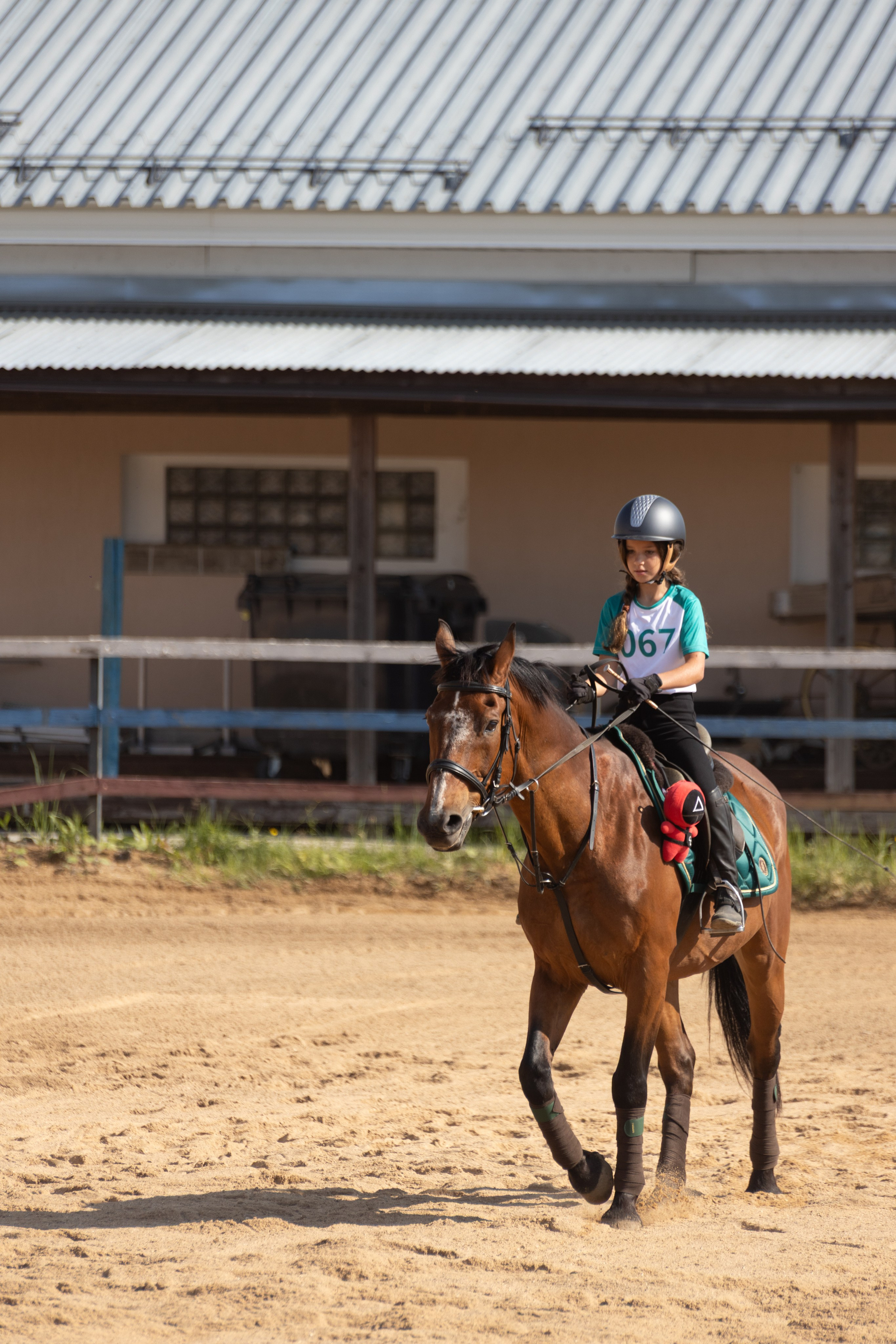Конюшня. Фотограф в Москве и Истре