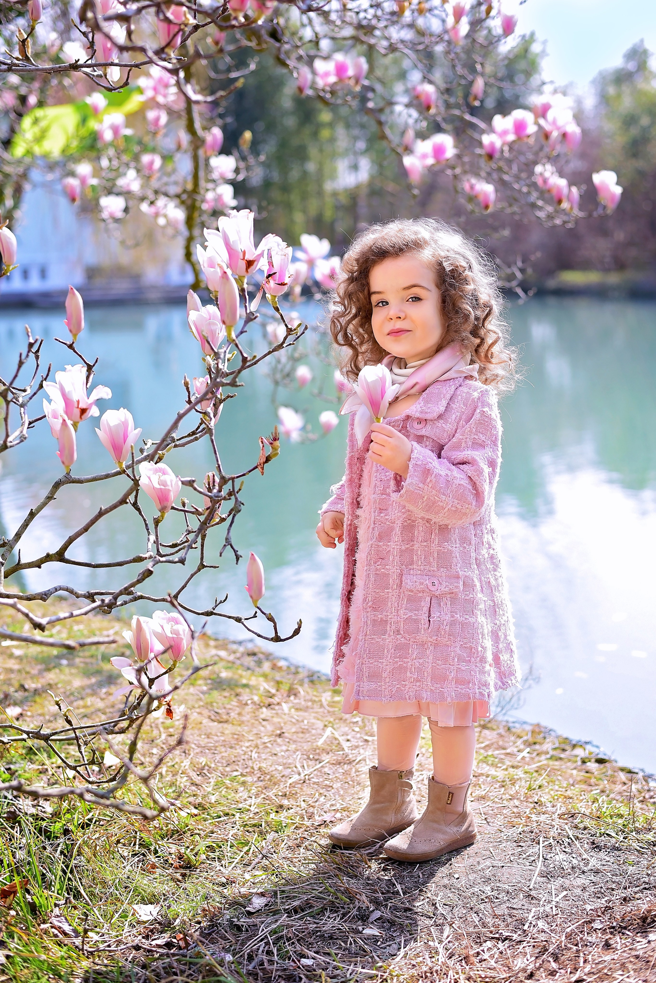 Магнолия. Главная