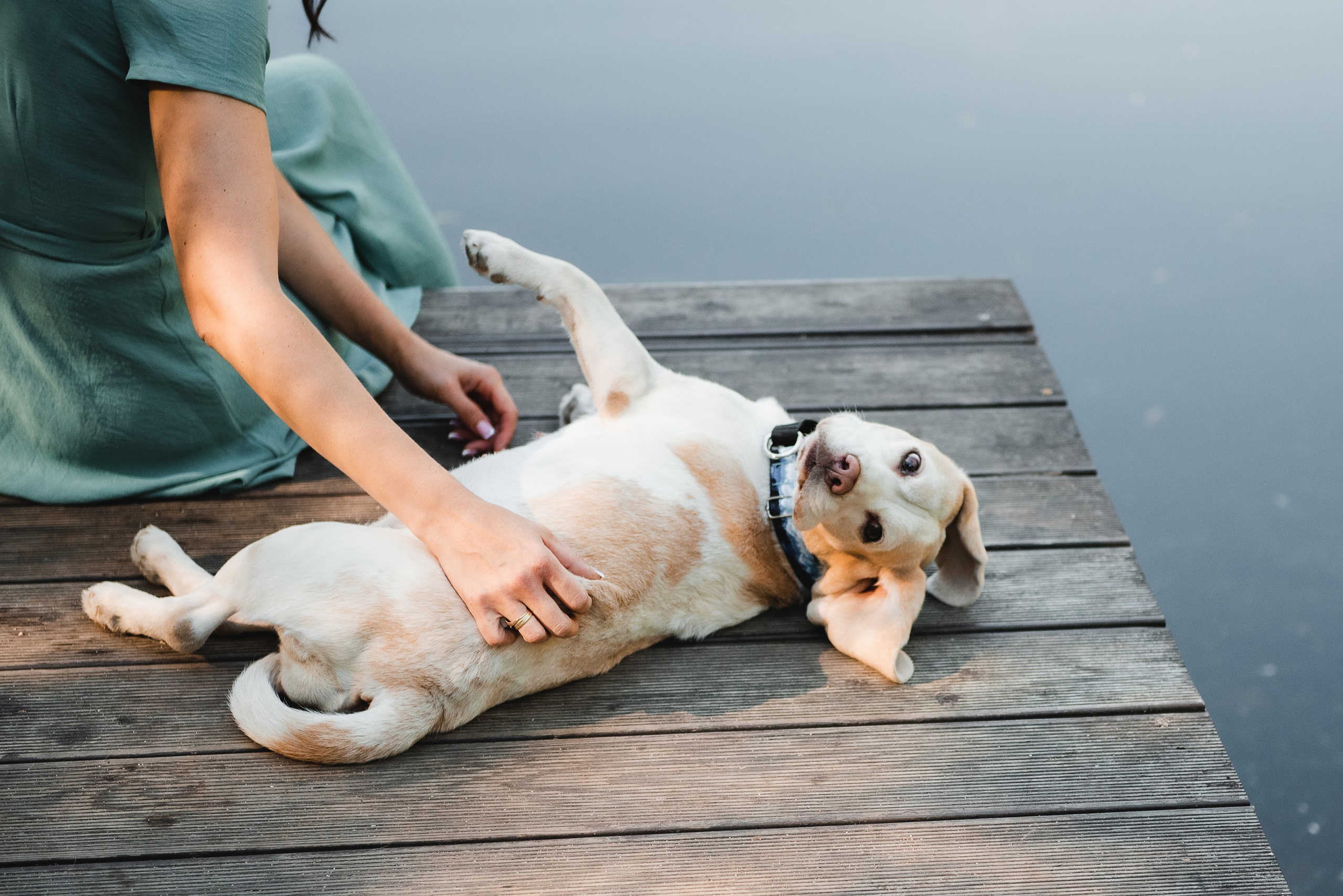 Оля и Ника. Семейный Фотограф в Москве Ирина Хохлова