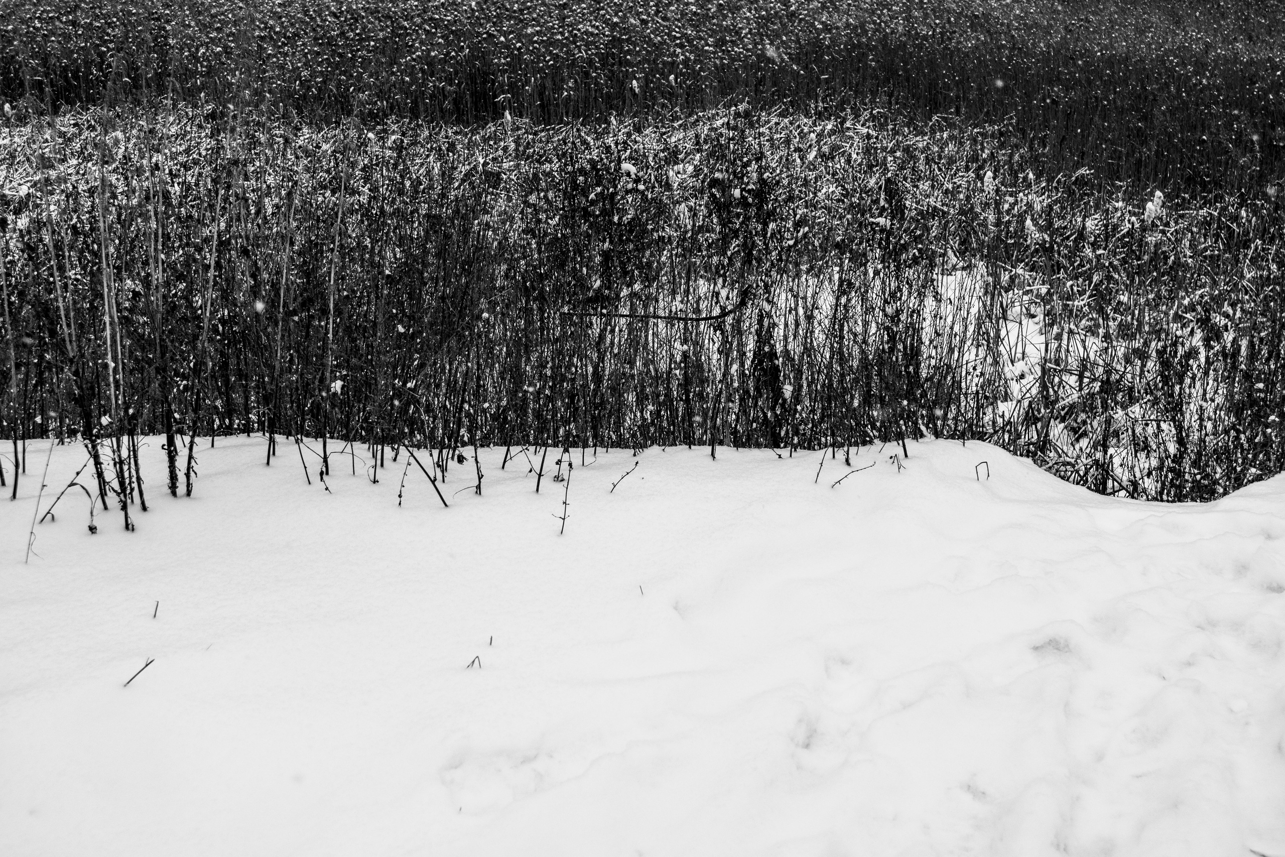 Декабрь. Портретный и архитектурный фотограф в Москве и Санкт-Петербурге