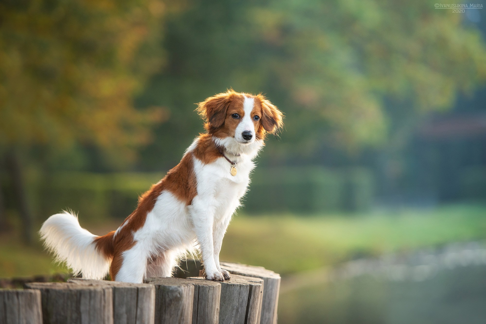 койкерхондье