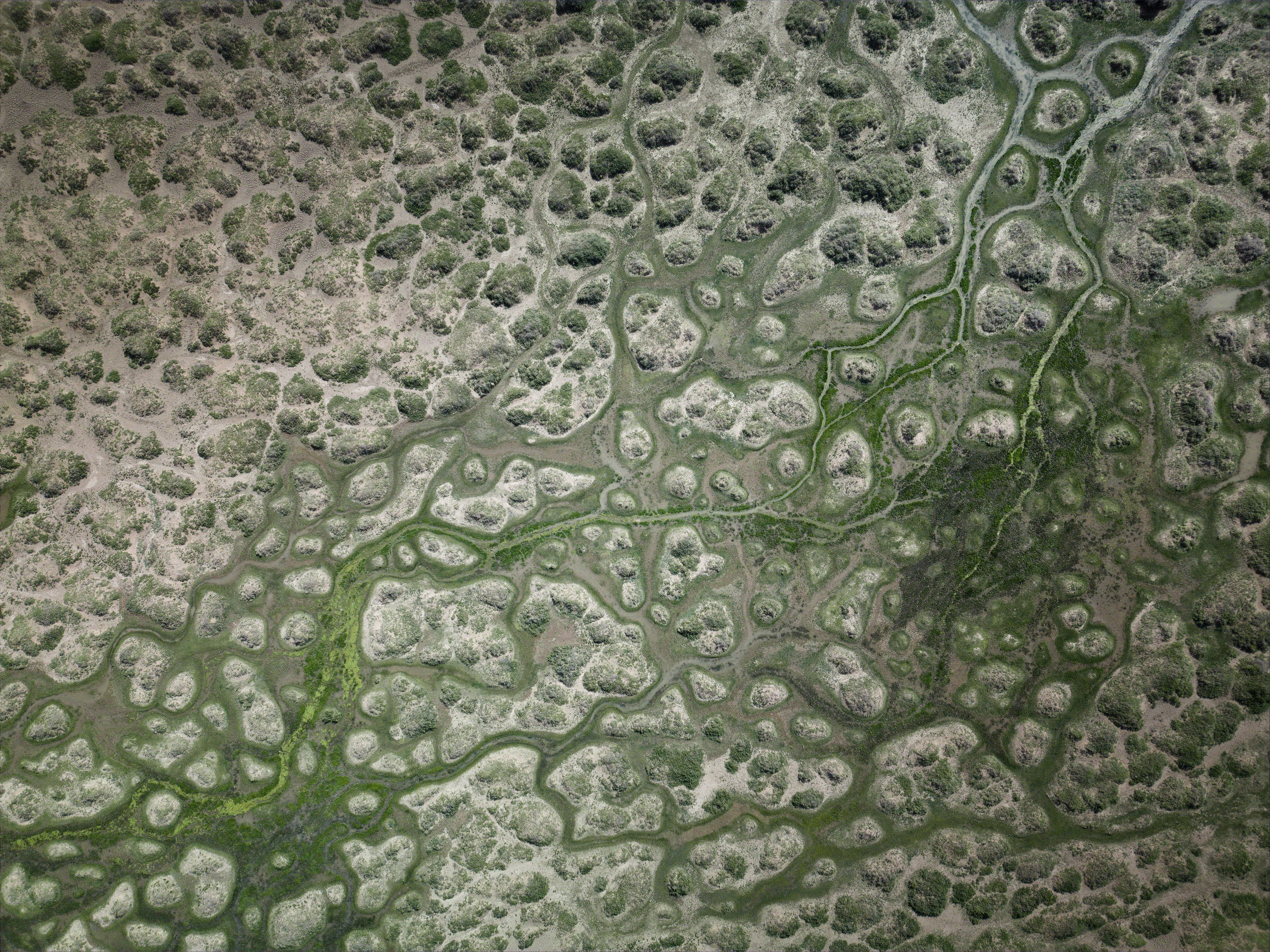 Экспедиция в Монголию (Гоби). Семоха Валерий. Фотограф