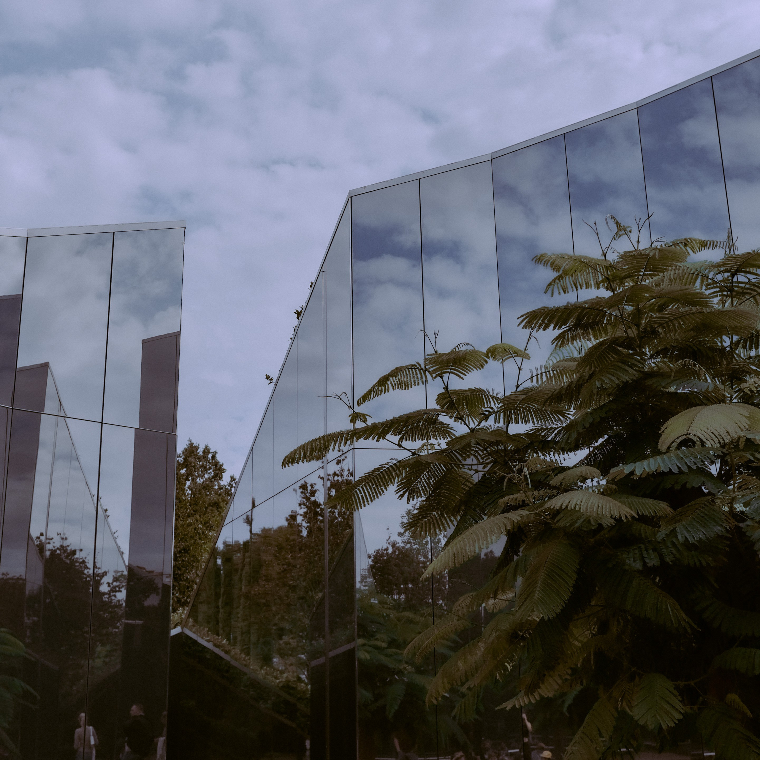 Краснодар. LIYALEE PHOTO