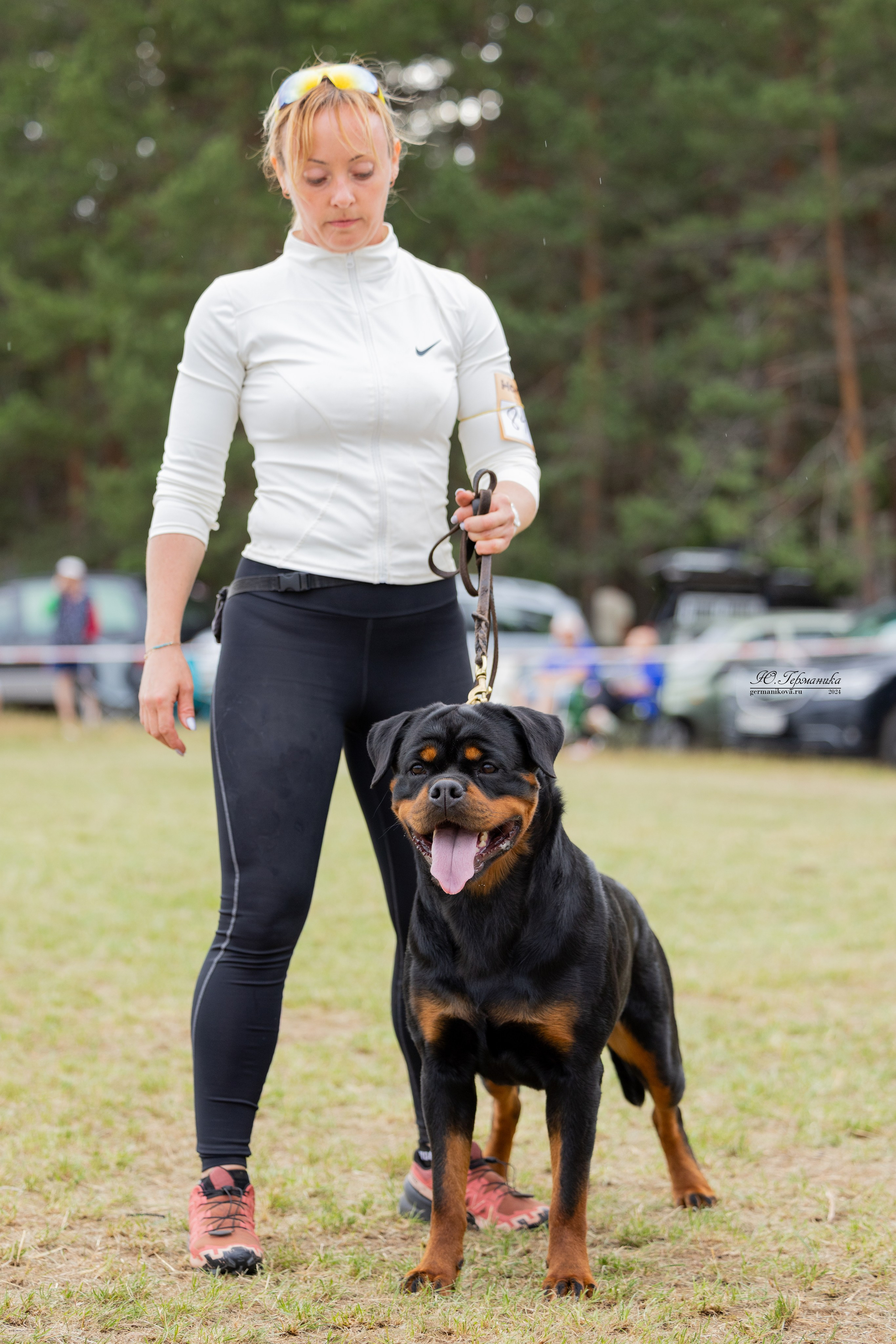 ПК и КЧК ротвейлеры Тверь 6-7.07.2024. Фотограф-анималист Юлия Германика