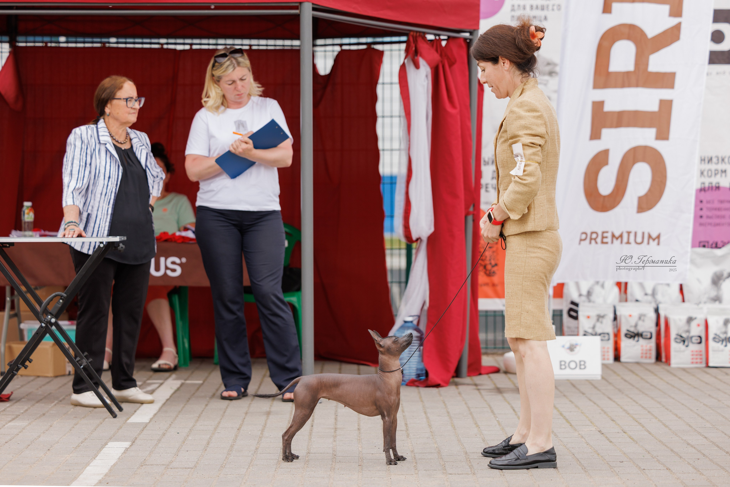 Калининград 25-27.07 Волгоград 1-3.08 2025. Фотограф-анималист Юлия Германика
