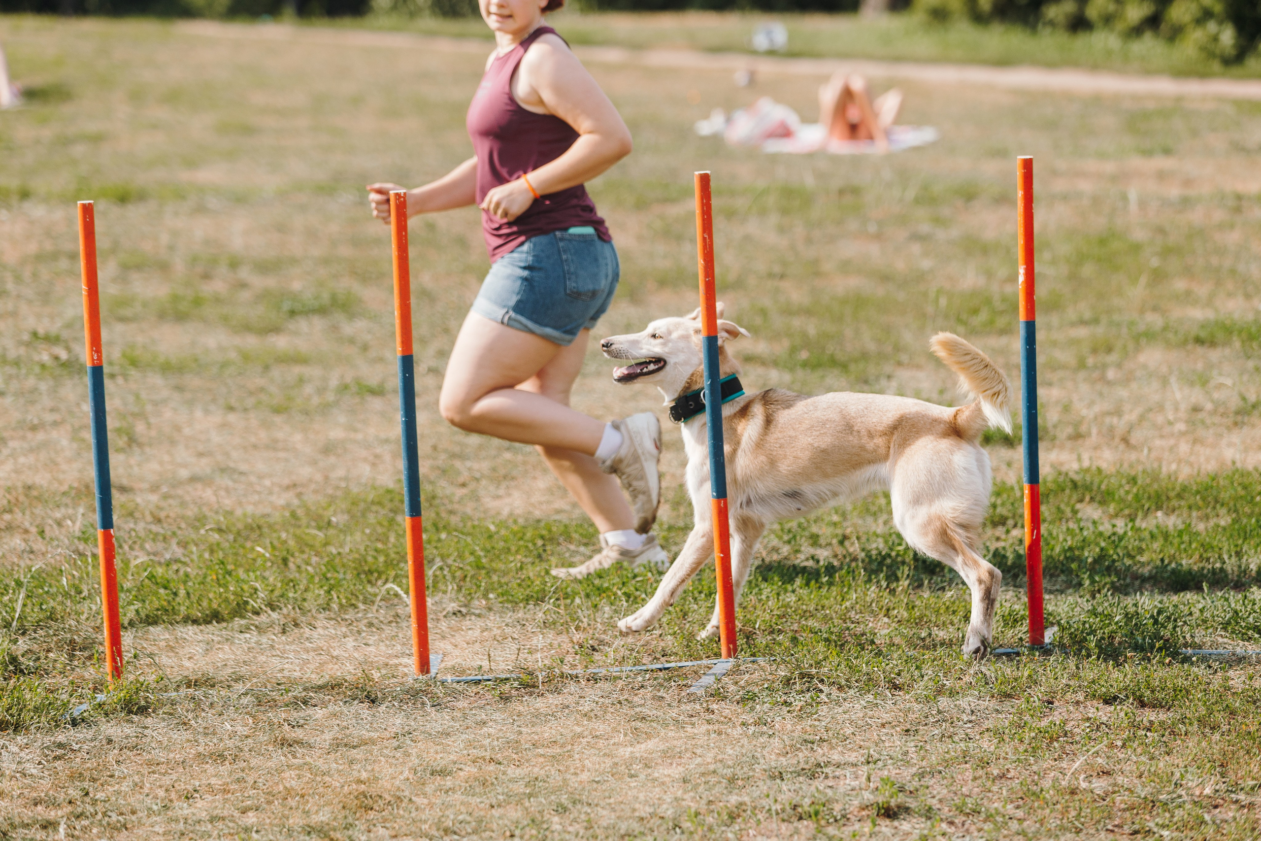 Petshop Sup day. Фотограф анималист Кристина Карпова, Москва