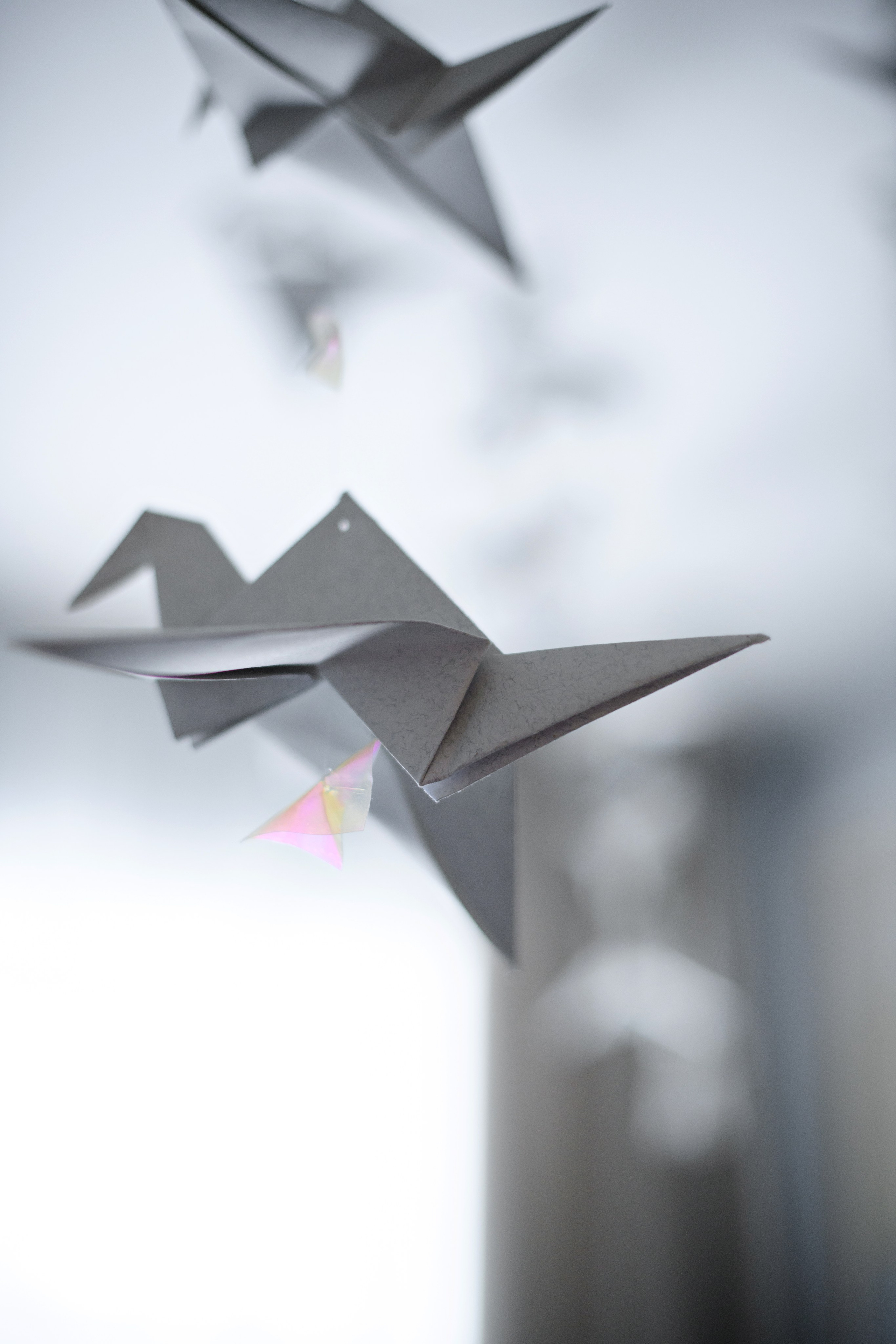 Апартаменты Agent Flat. Свадебный фотограф в Санкт-Петербурге София Шубик