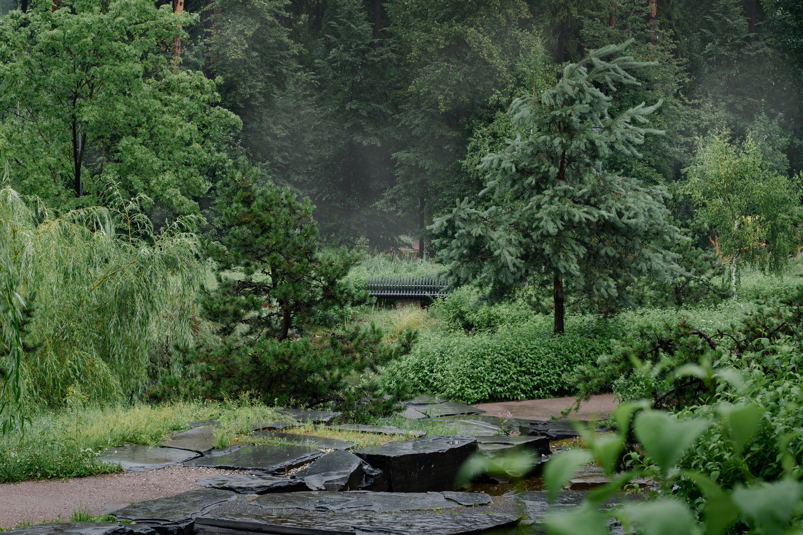 Trailway of health. Артамонов Александр | Архитектурный и ландшафтный фотограф