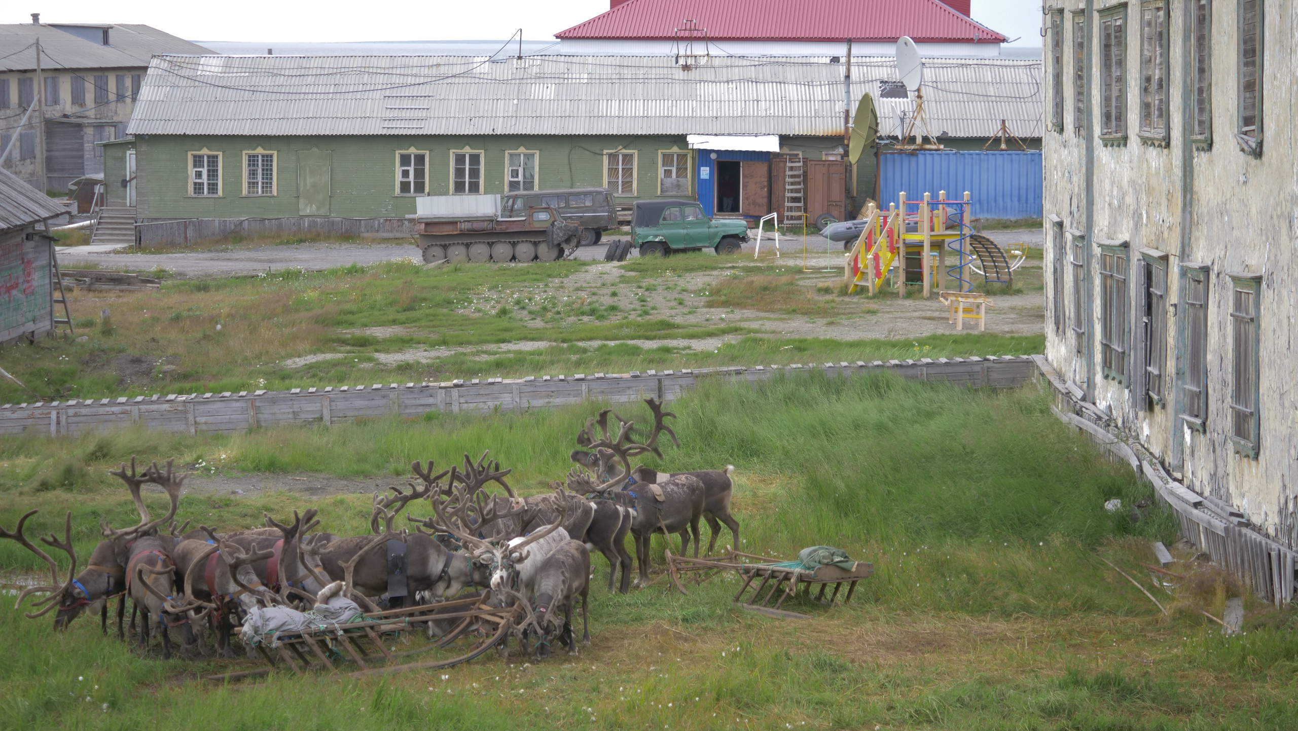 Амдерма — наука (2020 г.). Фотоальбом показывающий увлекательный мир авиации и мир медведей Андрея Иванова