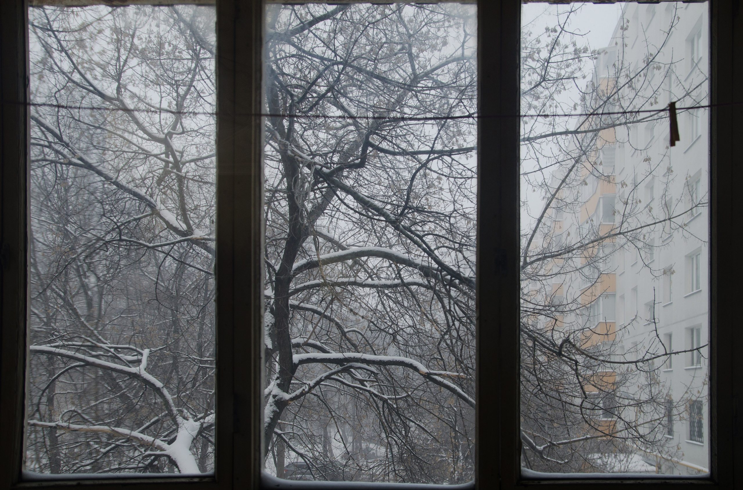 Интересное рядом. Фото, видео, монтаж