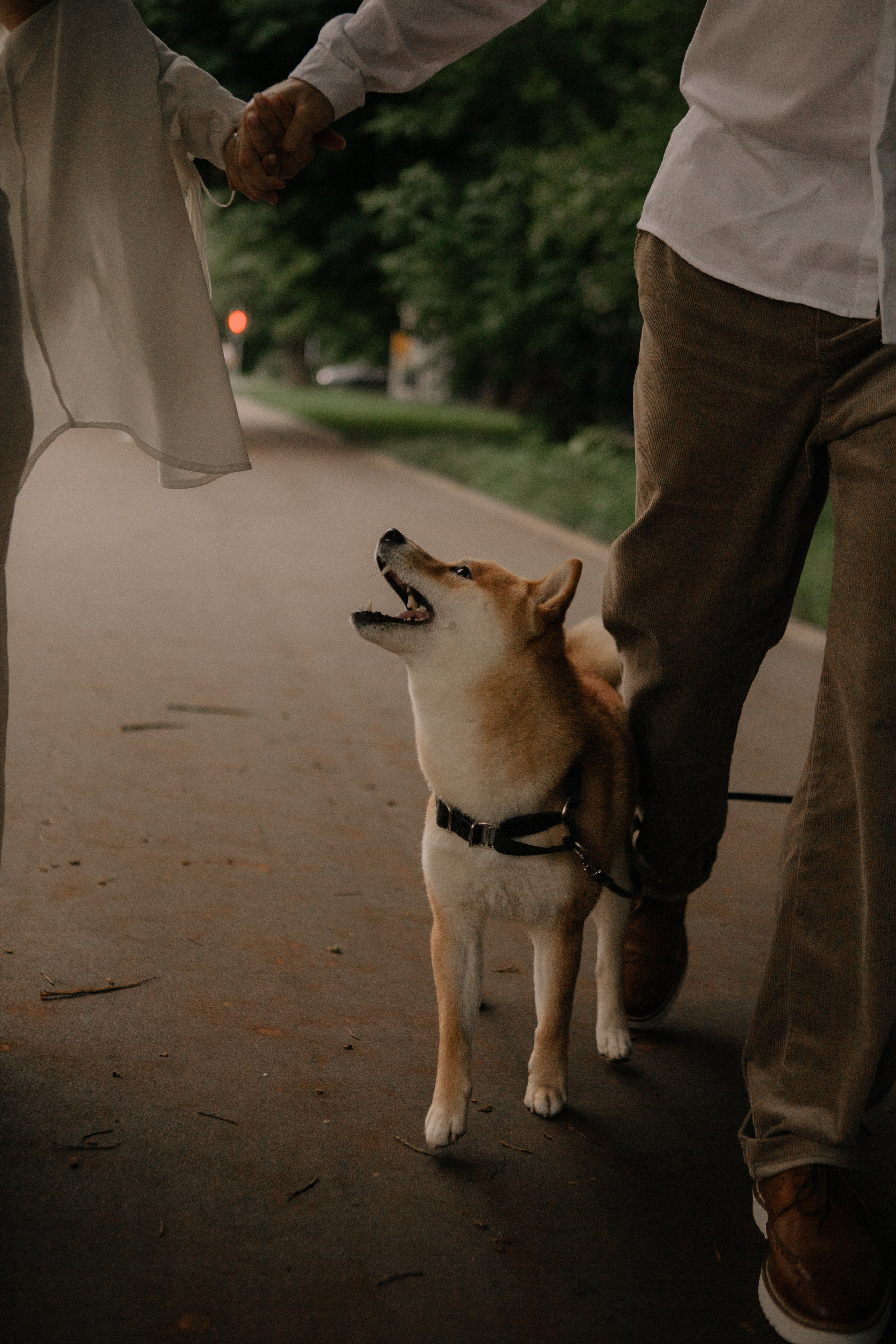 Dima and Katya. Portrait, family and pet photographer in Cyprus, Ksenia Bourdelle