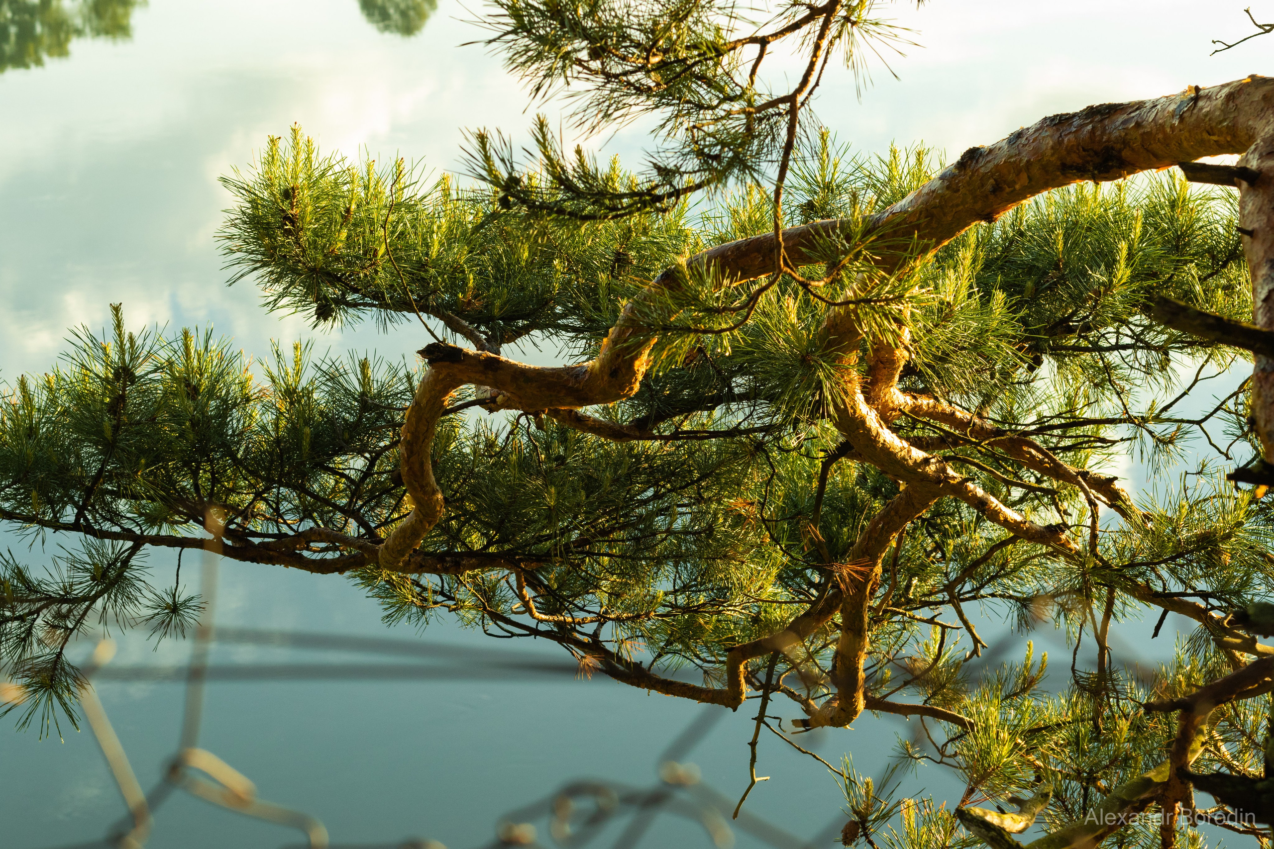 Пейзажи. Профессиональный фотограф Александр Бородин