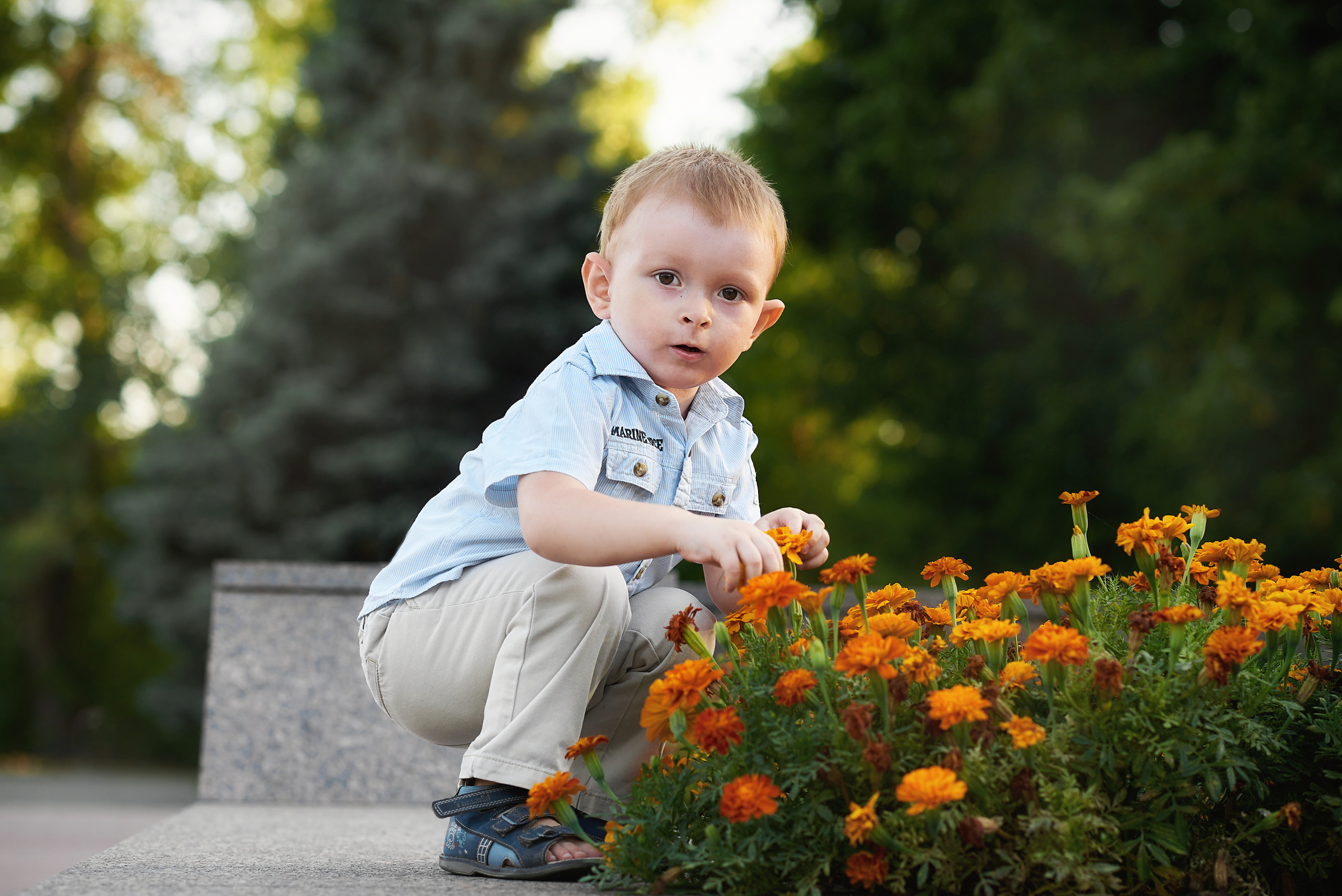 Семейная съемка в Кумженской роще. Семейный фотограф в Ростове-на-Дону Татьяна Литвинова