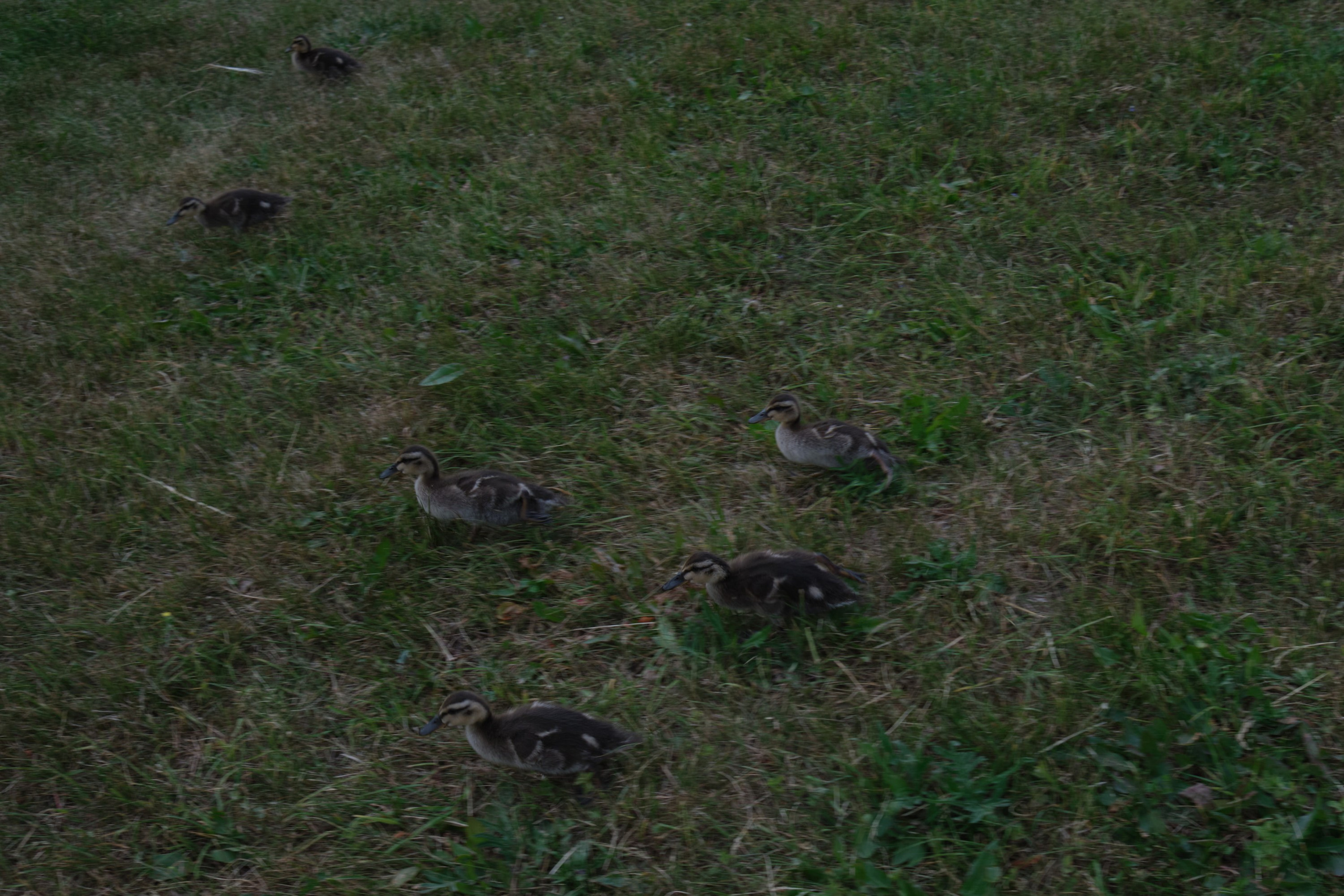 Русский север: путешествие по Карелии, Архангельской и Вологодской областям