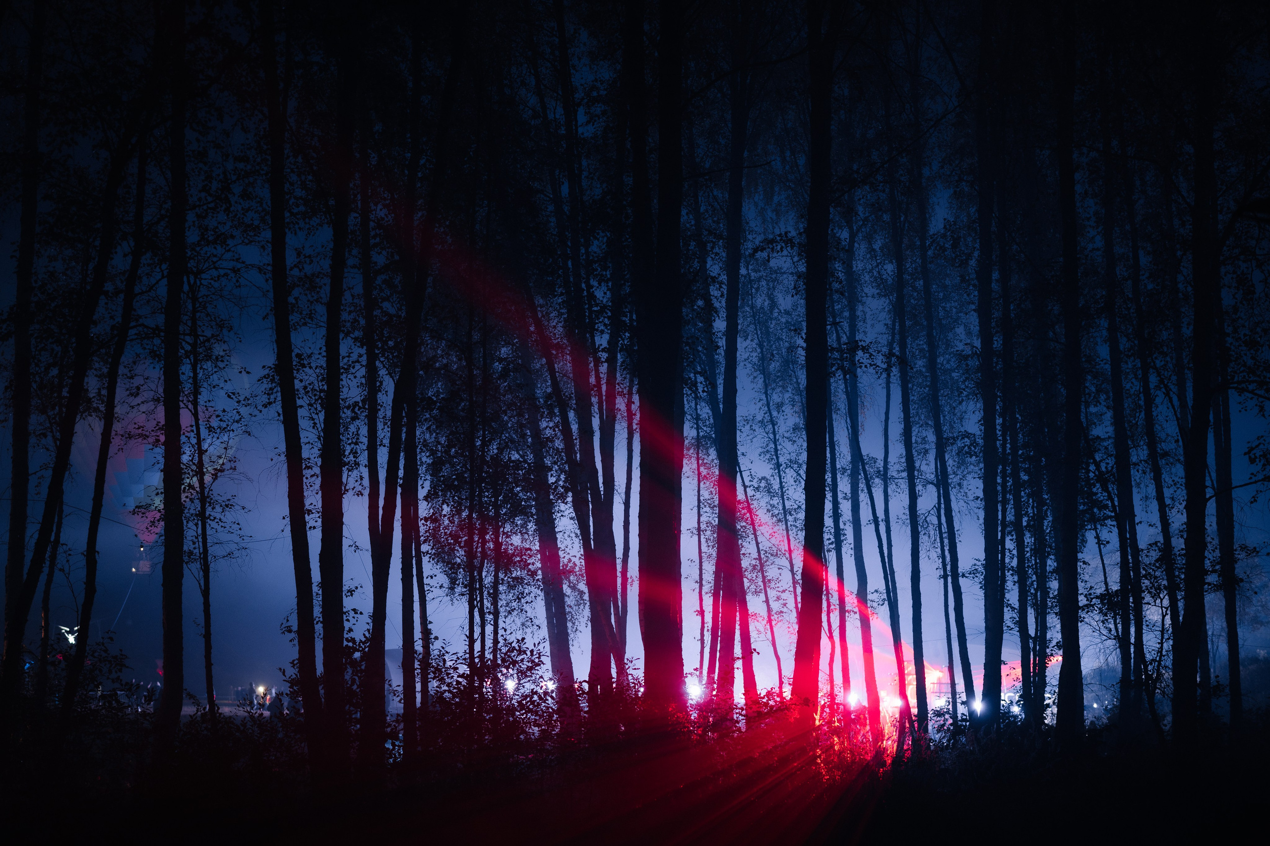 Signal 2024. @tomrus: Рустам Шагиморданов — фотограф