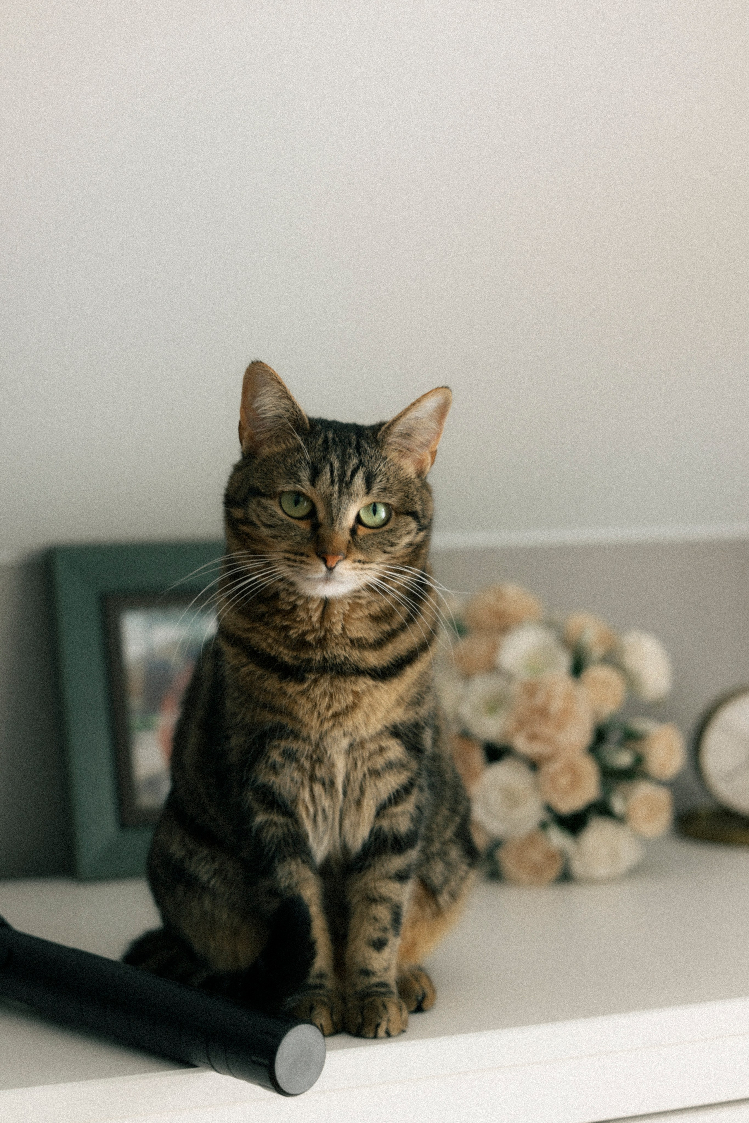 Марьям и Серафим. Фотограф НатаФото (Наталья Яковенко) Дмитров Москва Питер