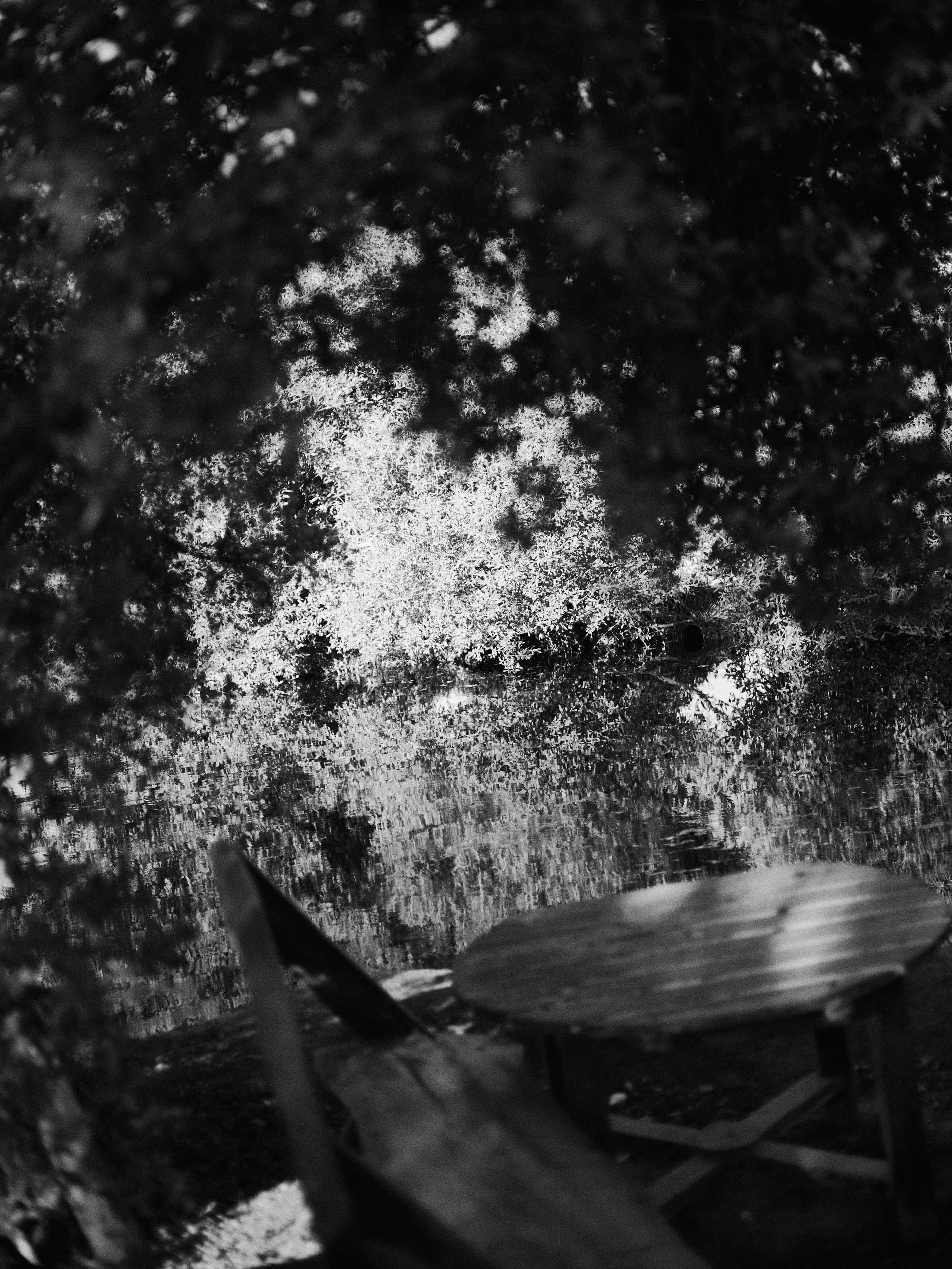 B&W. Jorgis — фотограф в Хургаде / обучение фотографии