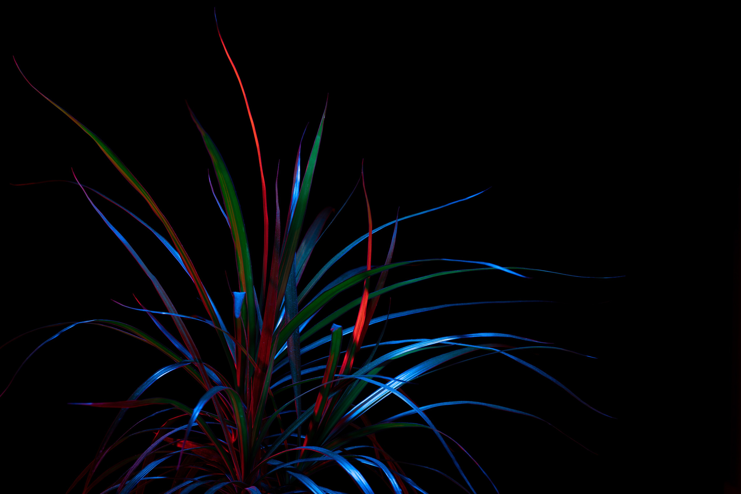 ПРЕДМЕТНАЯ. Никита Аничкин фото и видео оператор из России