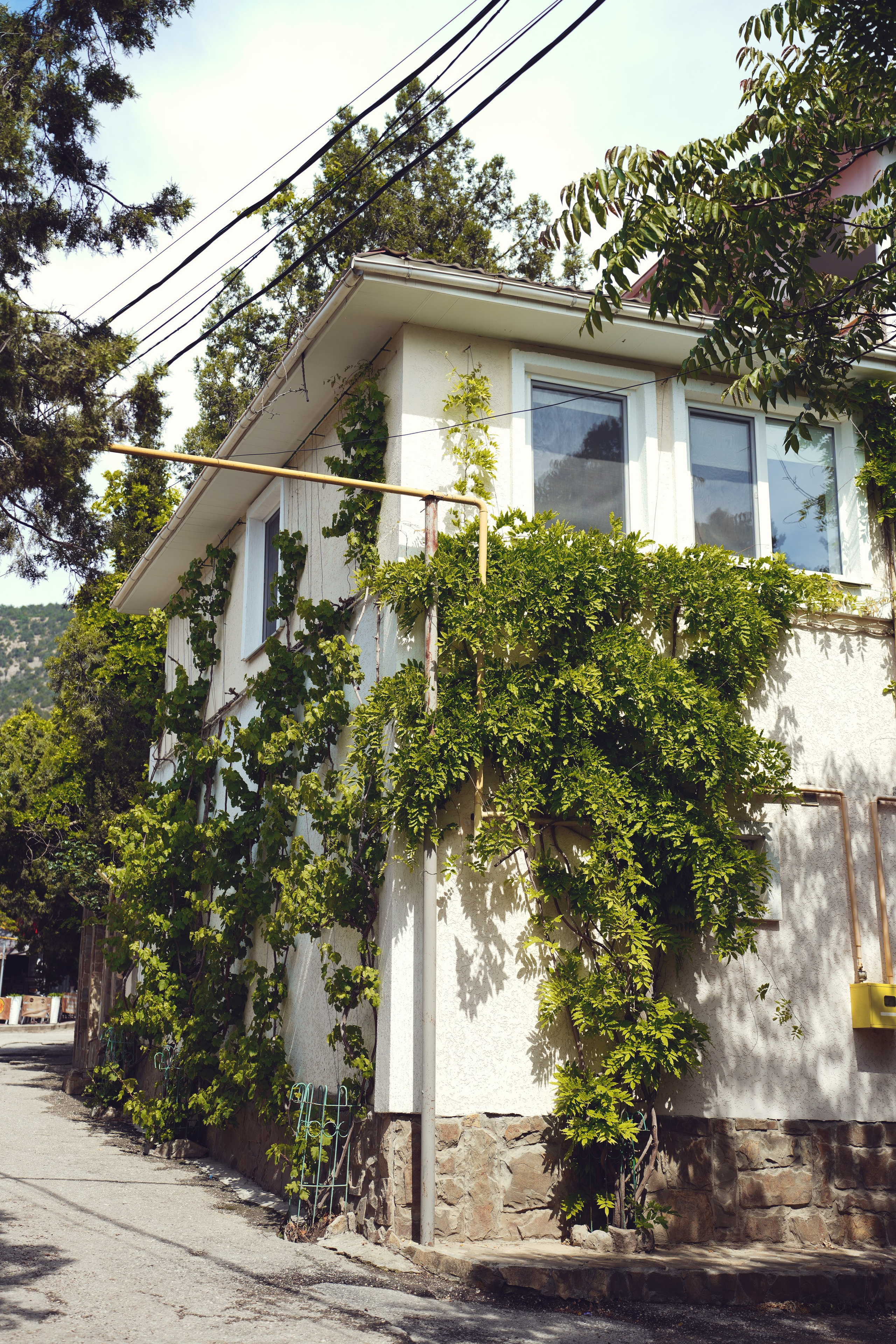 Крым. Анна Жукова — Режиссёр кино и цирка, сценарист, фотограф