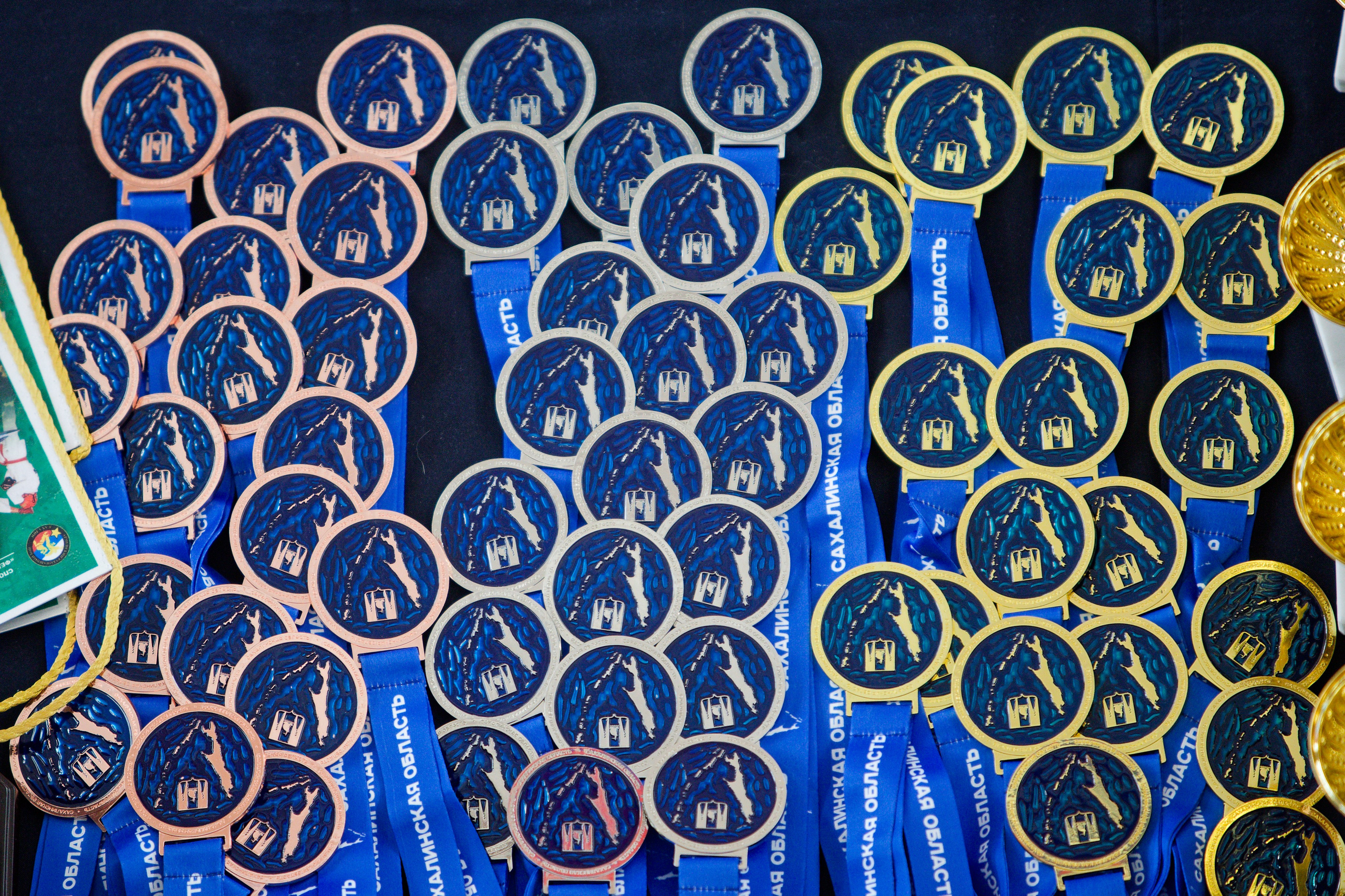 Турнир по армейскому рукопашному бою на кубок Героя России А. Ю. Фомина. Кутузов Евгений Фотограф в Южно-Сахалинске