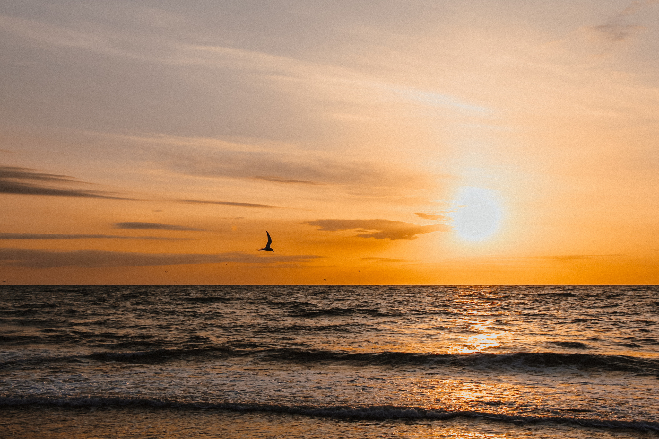 Фотограф в Черногории, Будве, Которе, Баре