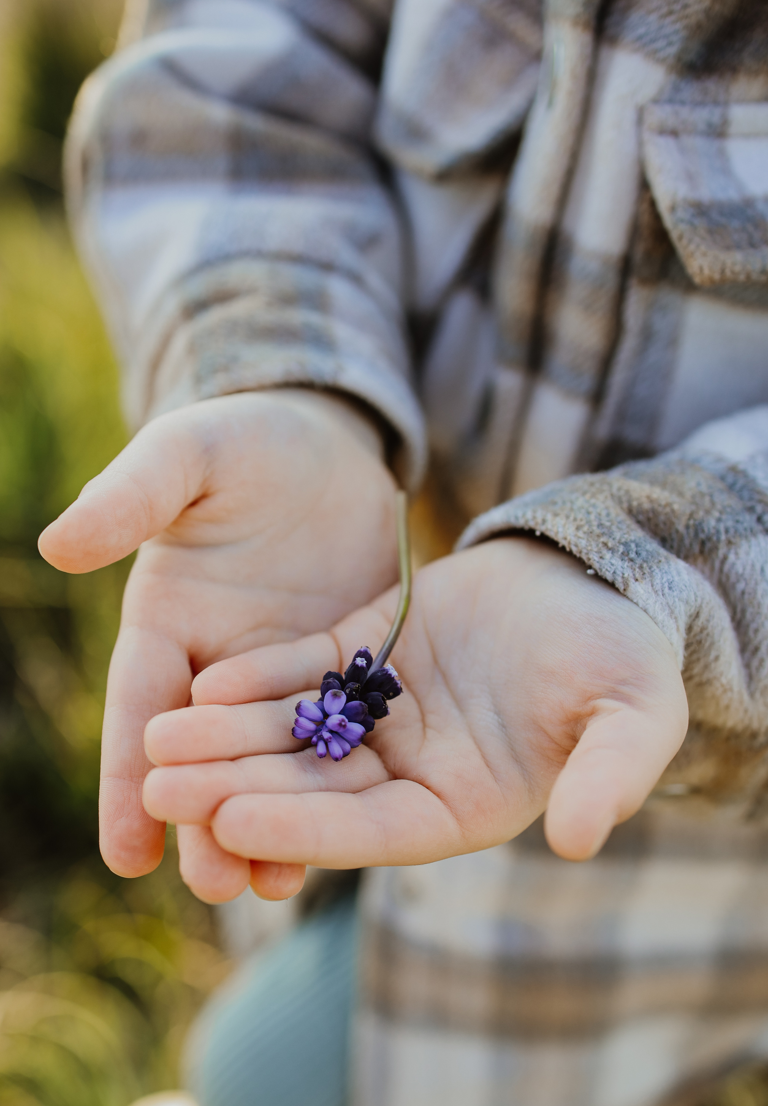 Фотограф в Черногории, Будве, Которе, Баре