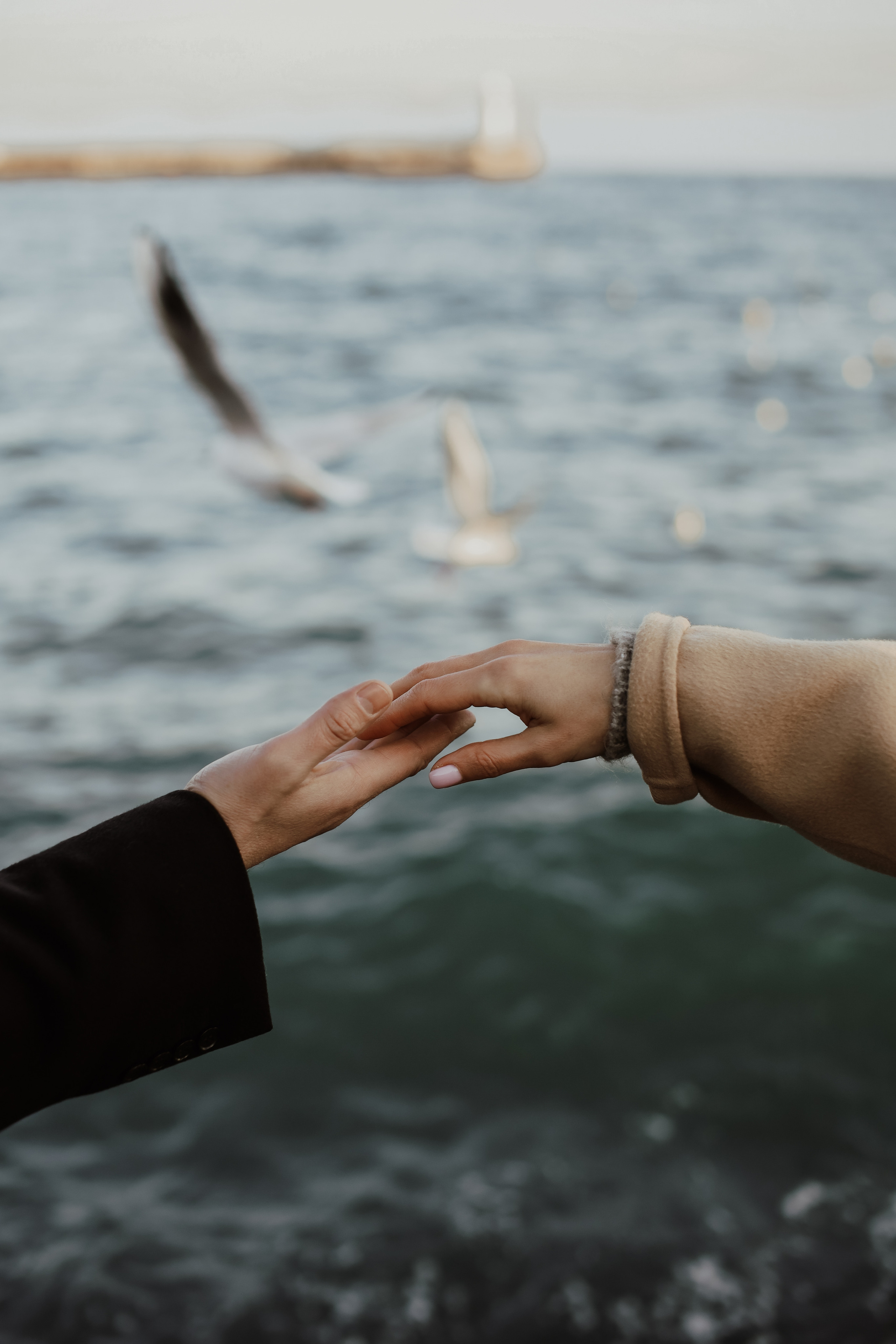 Фотограф в Черногории, Будве, Которе, Баре