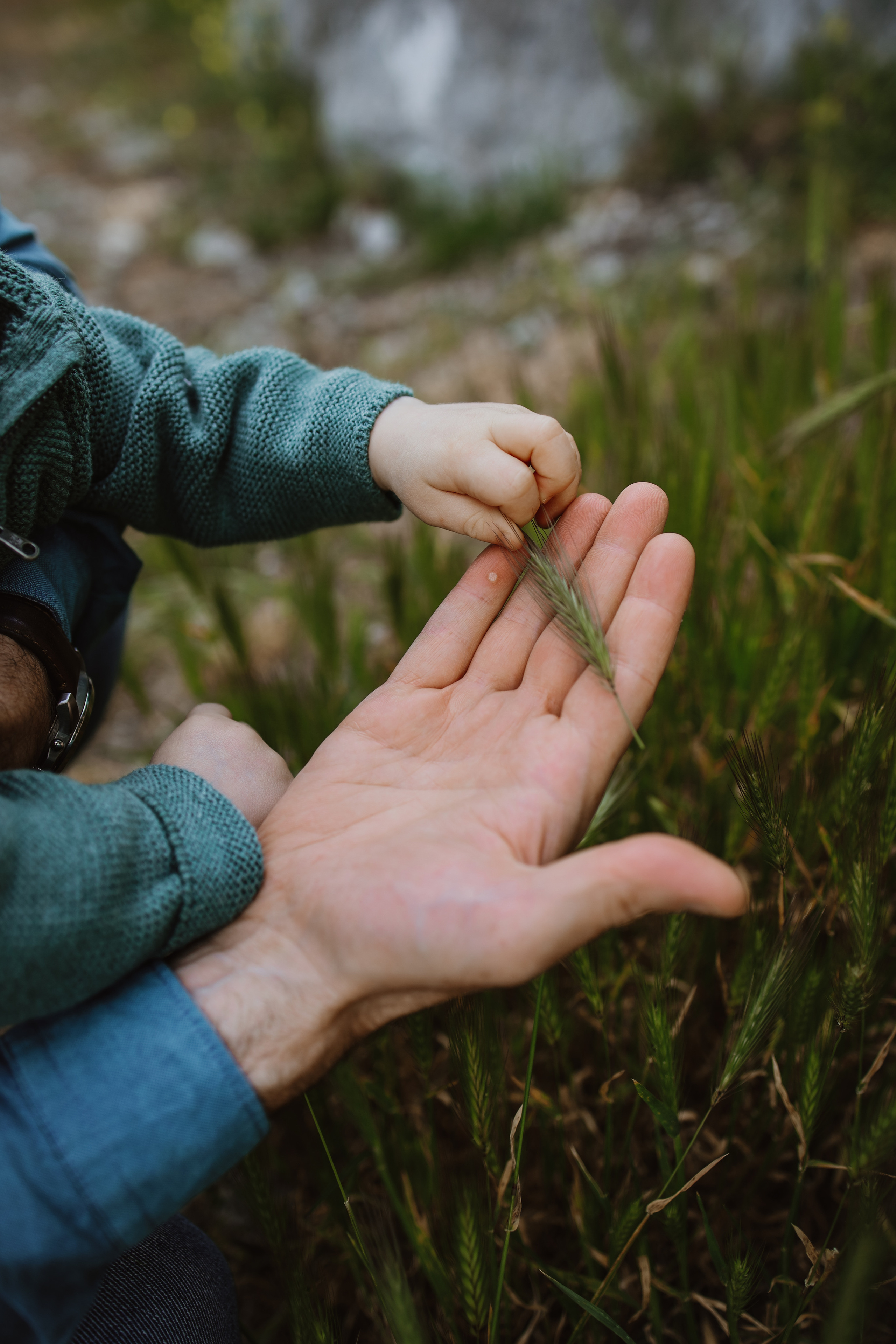 Фотограф в Черногории, Будве, Которе, Баре