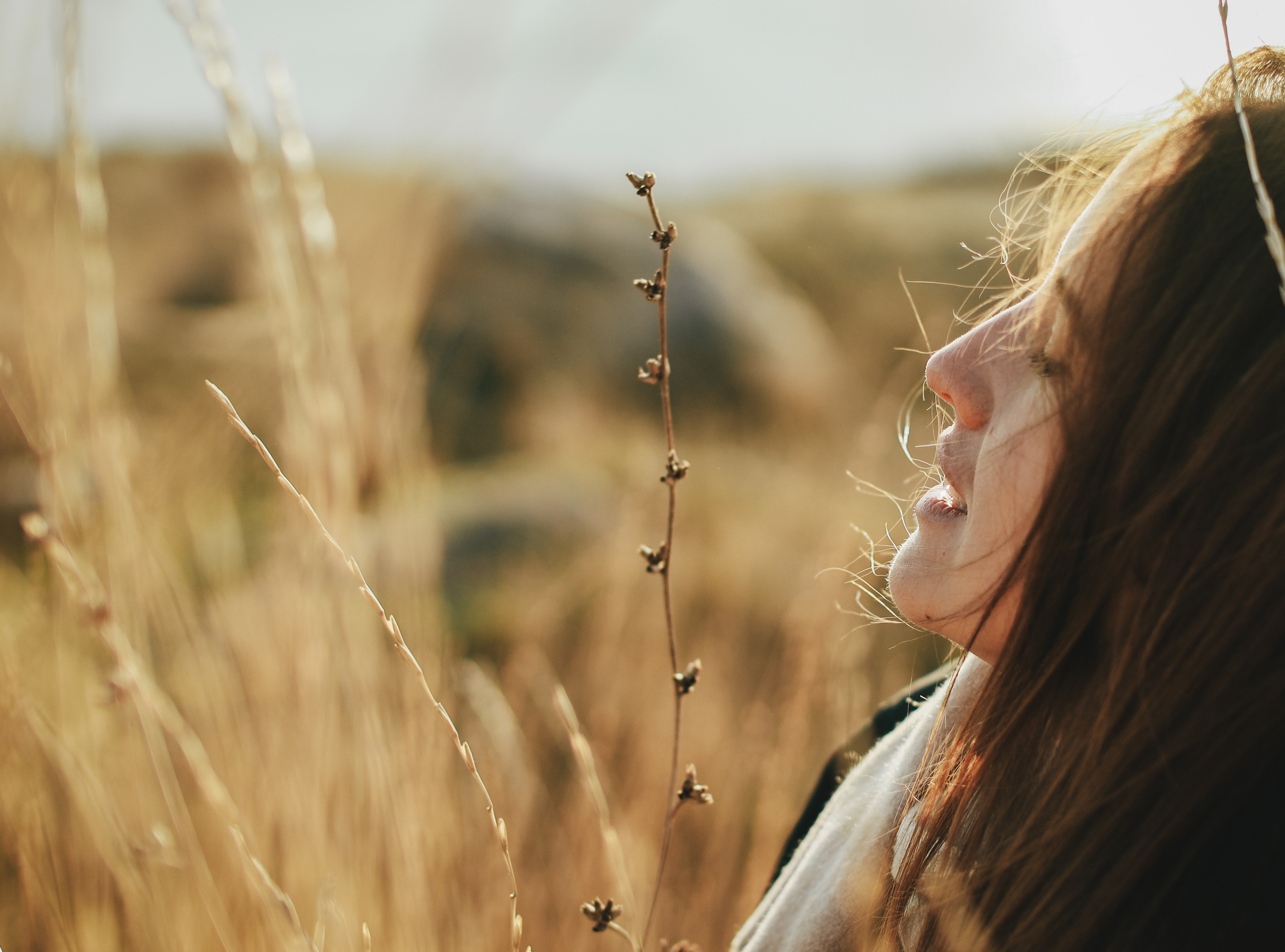 Фотограф в Черногории, Будве, Которе, Баре
