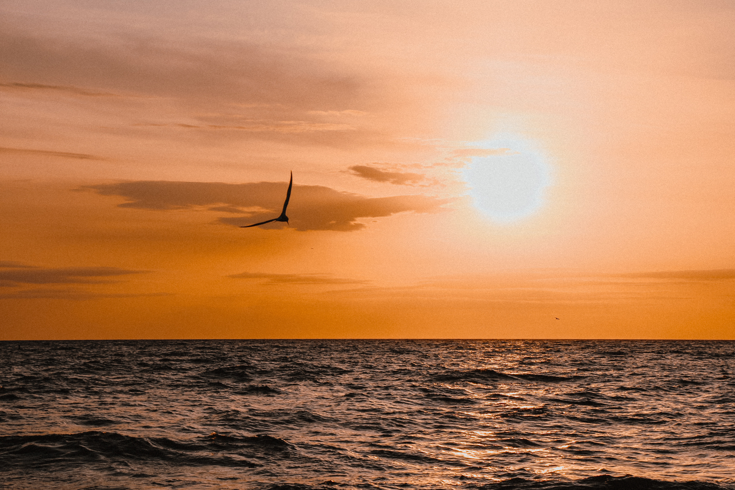 Фотограф в Черногории, Будве, Которе, Баре