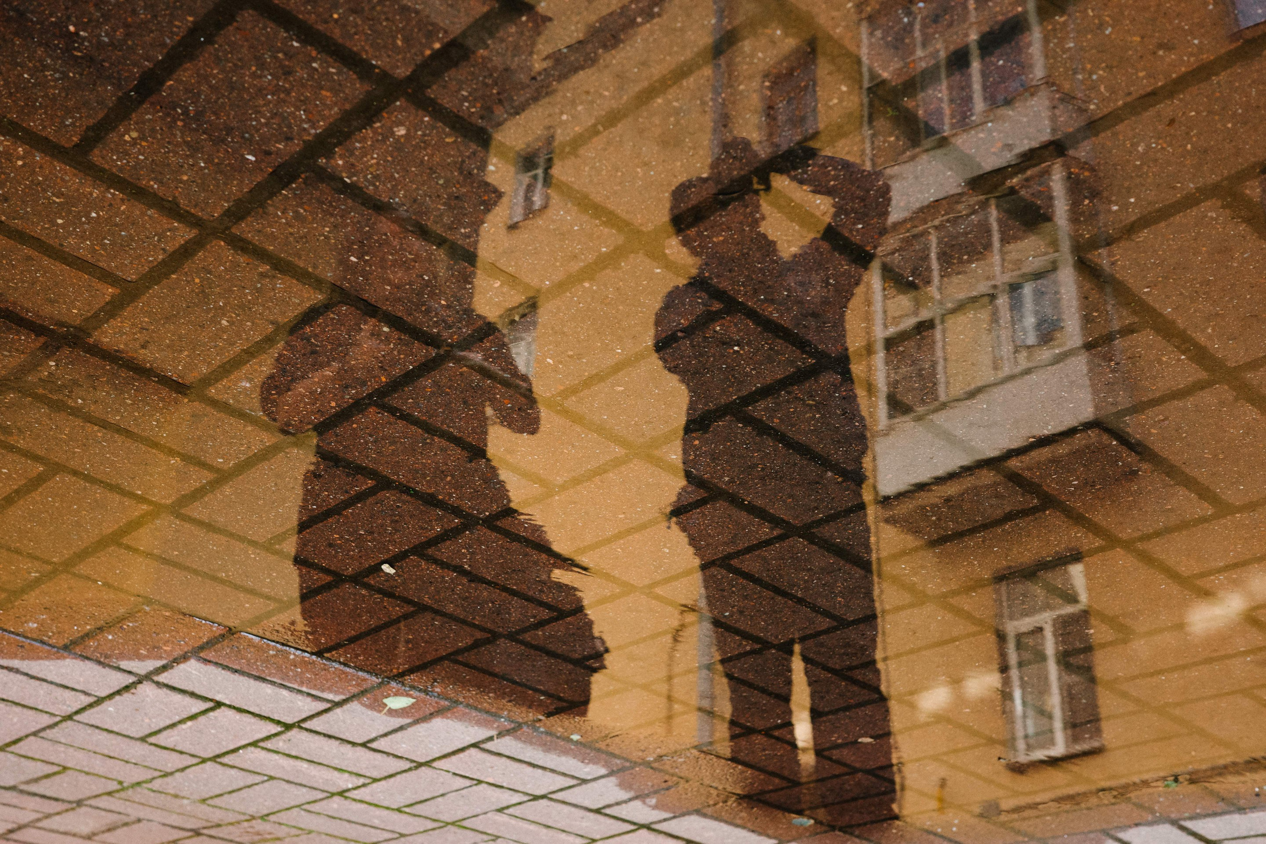 2025.06. Фотограф Алексей Алексеев