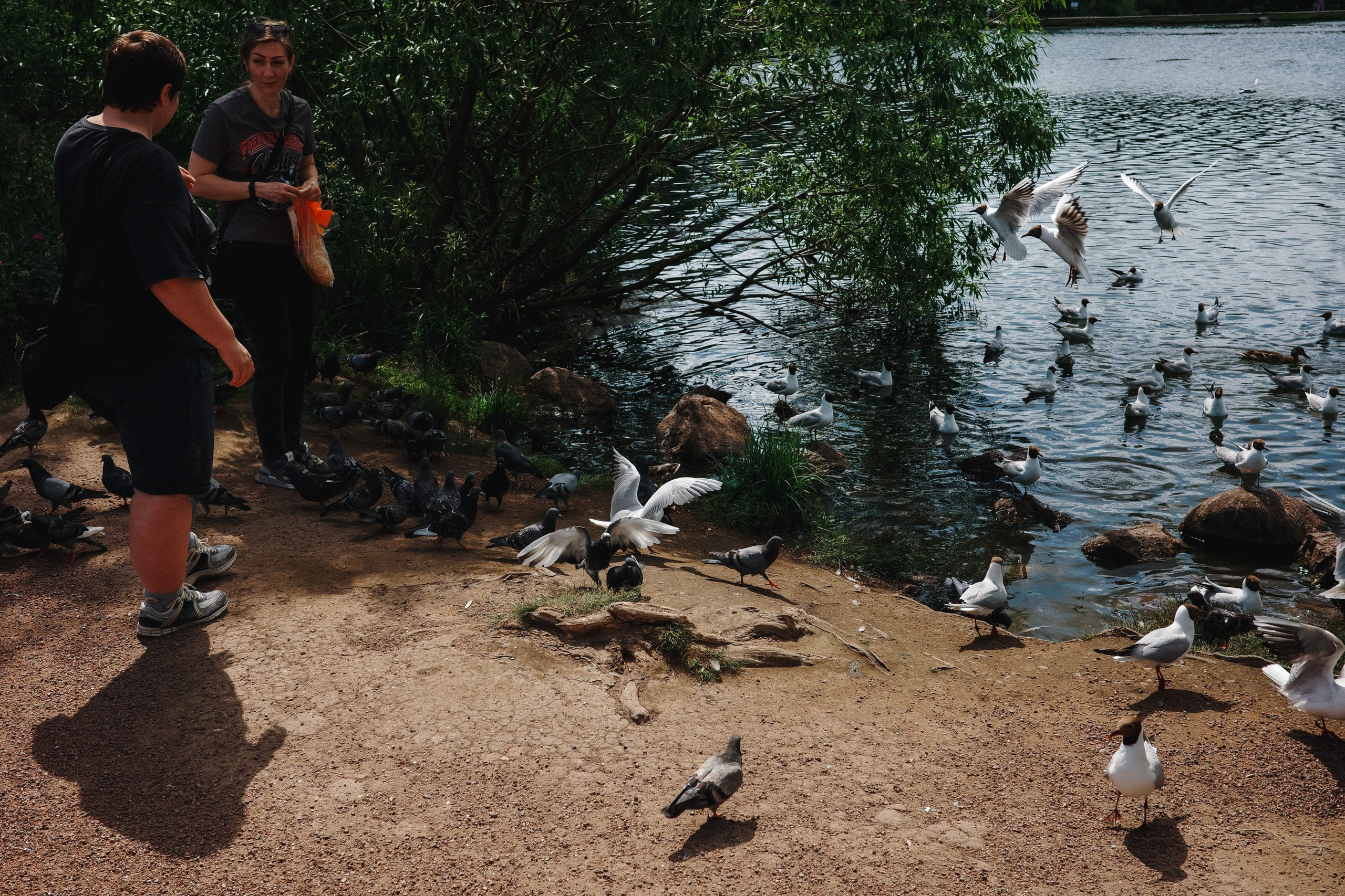 2024.06. Фотограф Алексей Алексеев