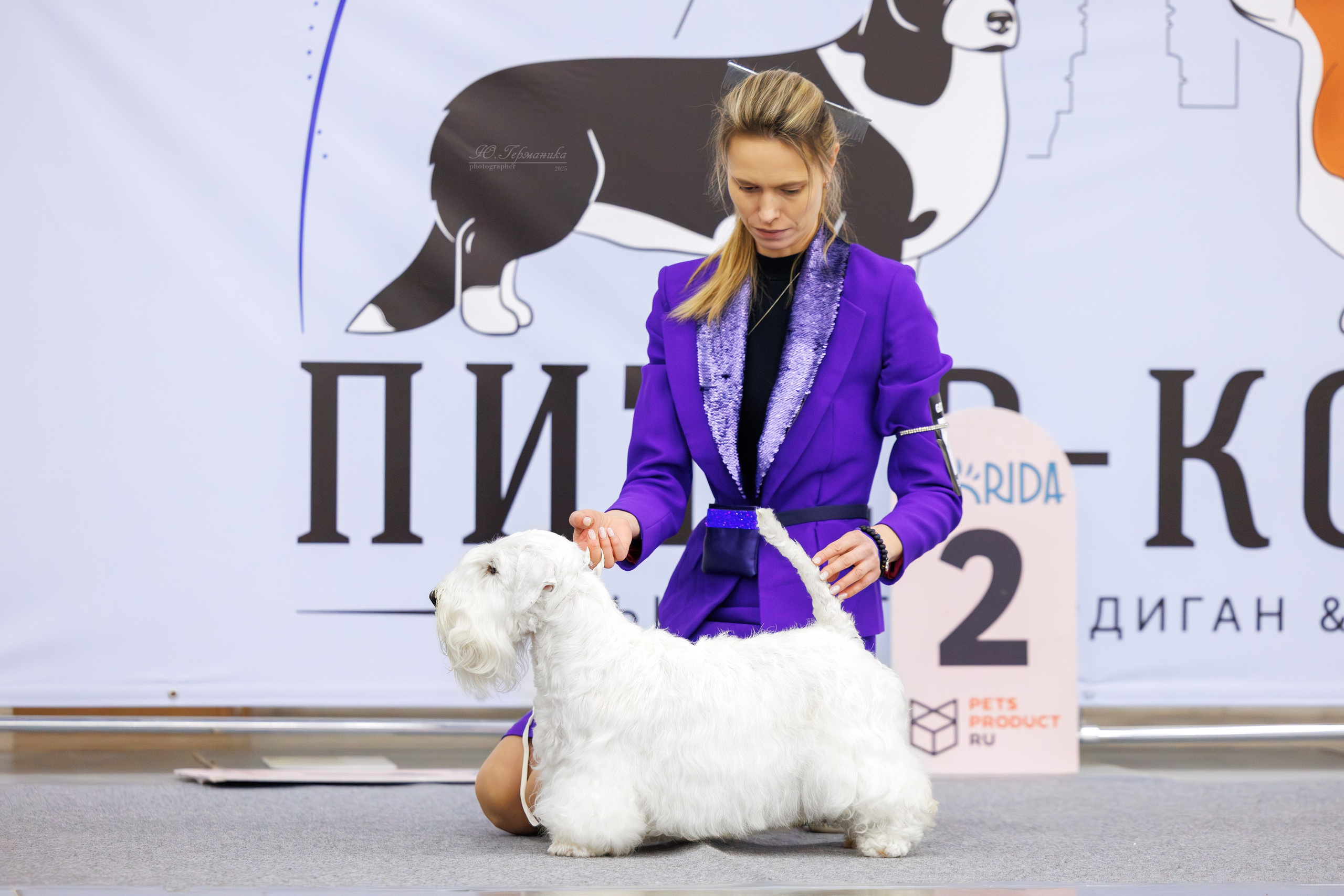 Питер 12-13.12.2025. Фотограф-анималист Юлия Германика