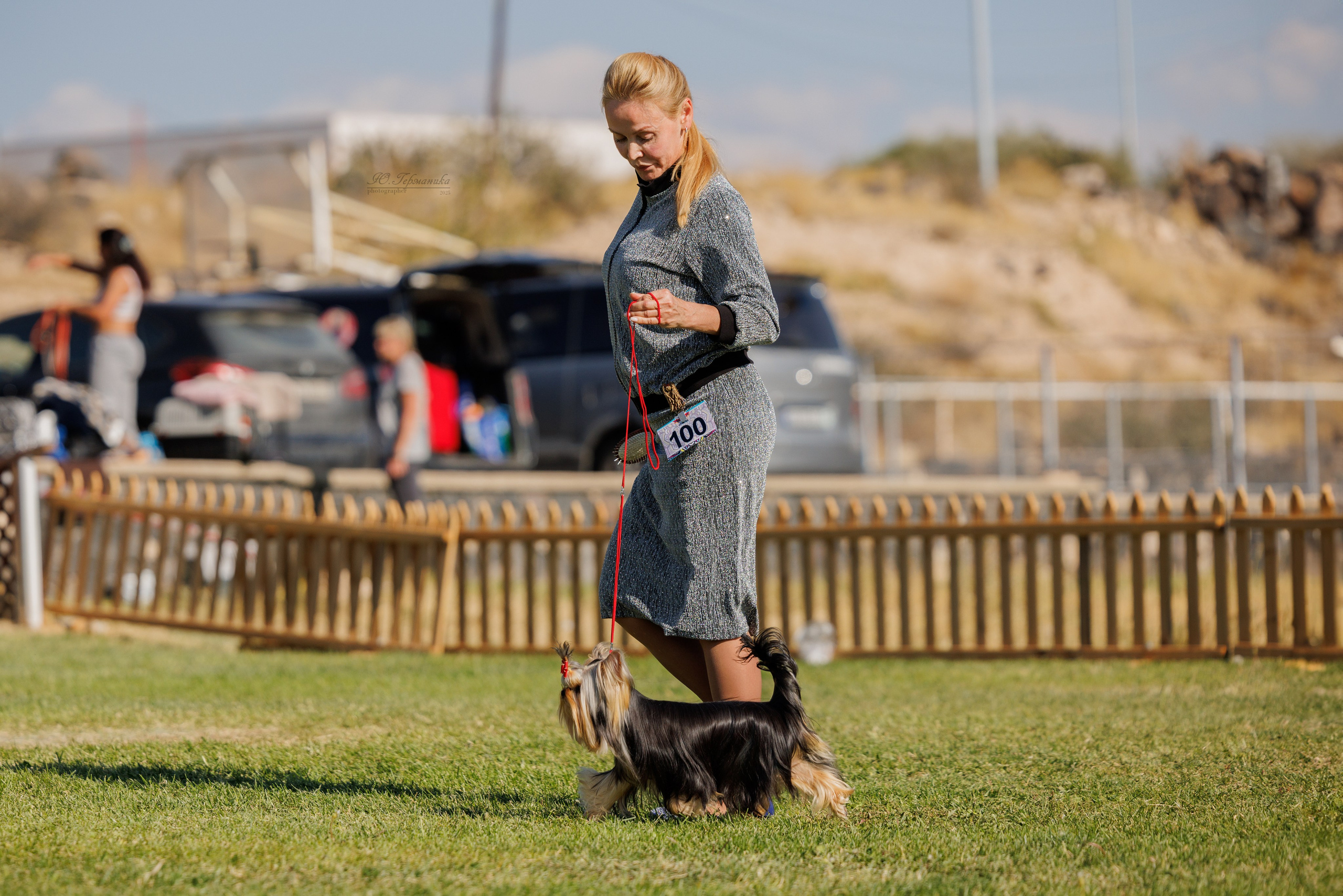 Ереван 14-16.10.2025. Фотограф-анималист Юлия Германика
