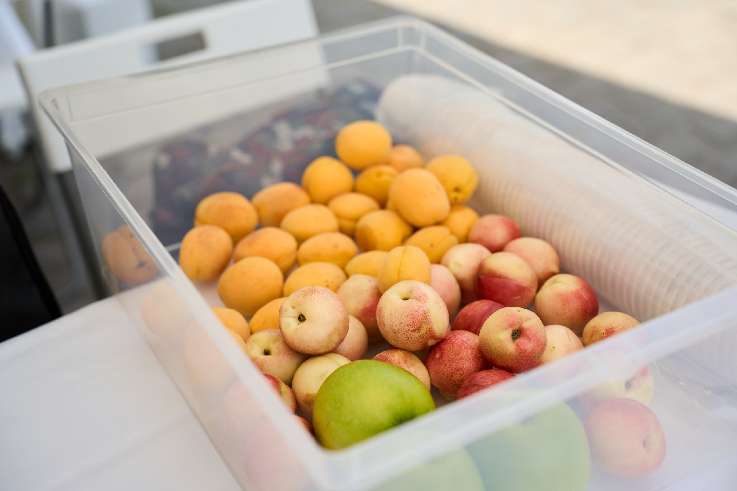 All-hands Третье Мнение 2025. Елизавета Мальгина, фотограф в Москве