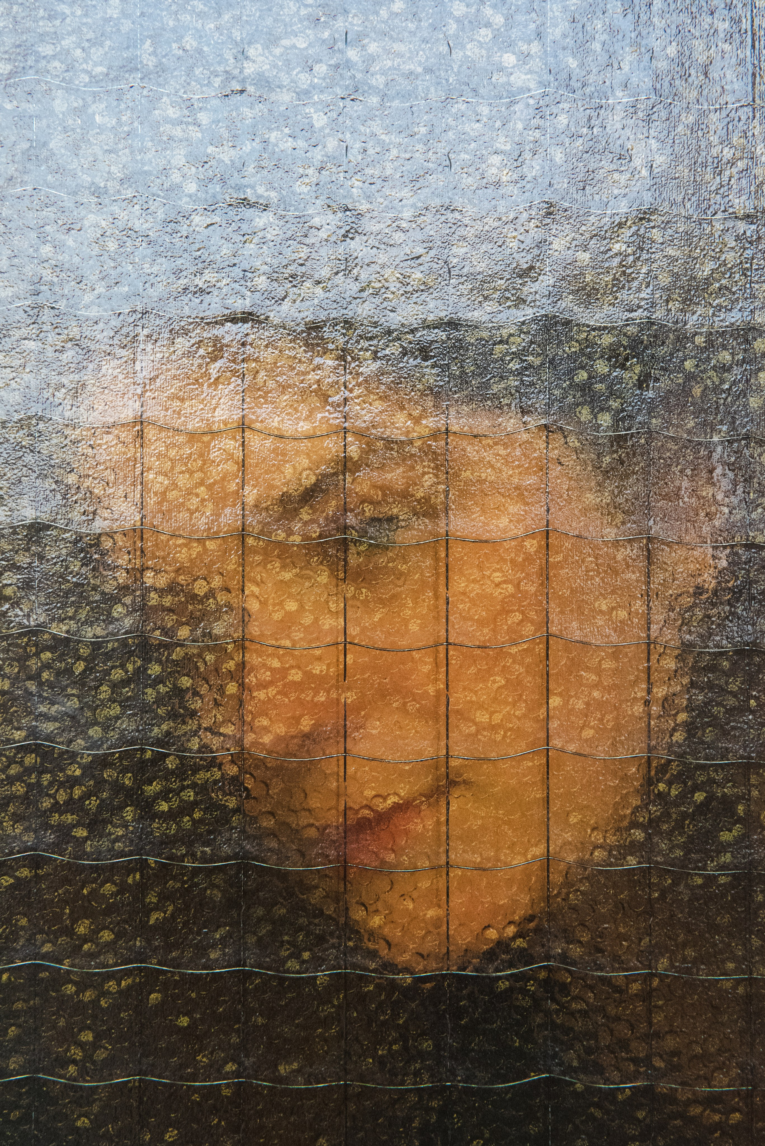 Томасина. Портретный и архитектурный фотограф в Москве и Санкт-Петербурге