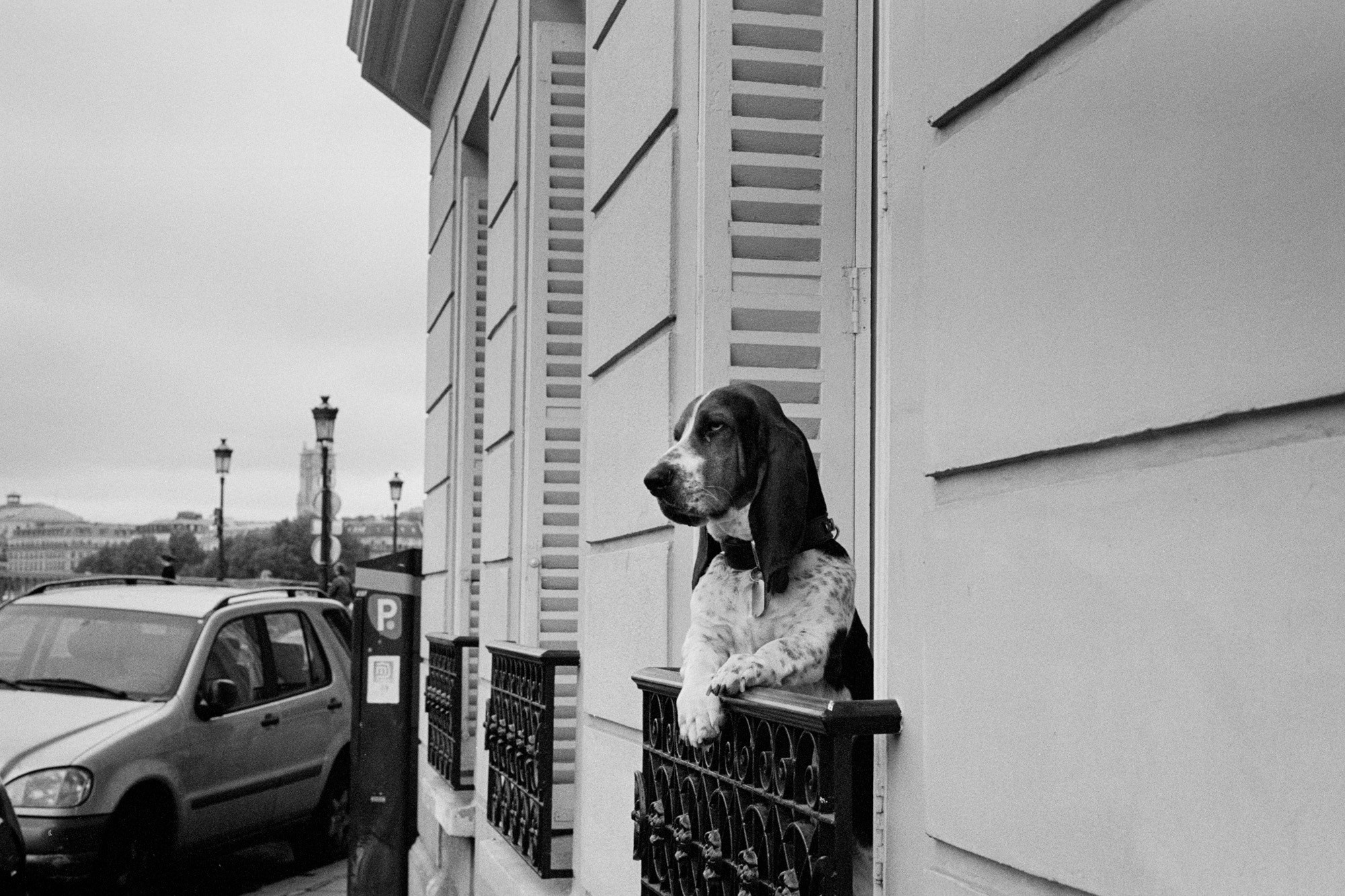 Memories of France. Документальный фотограф Алексей Мякишев, Москва