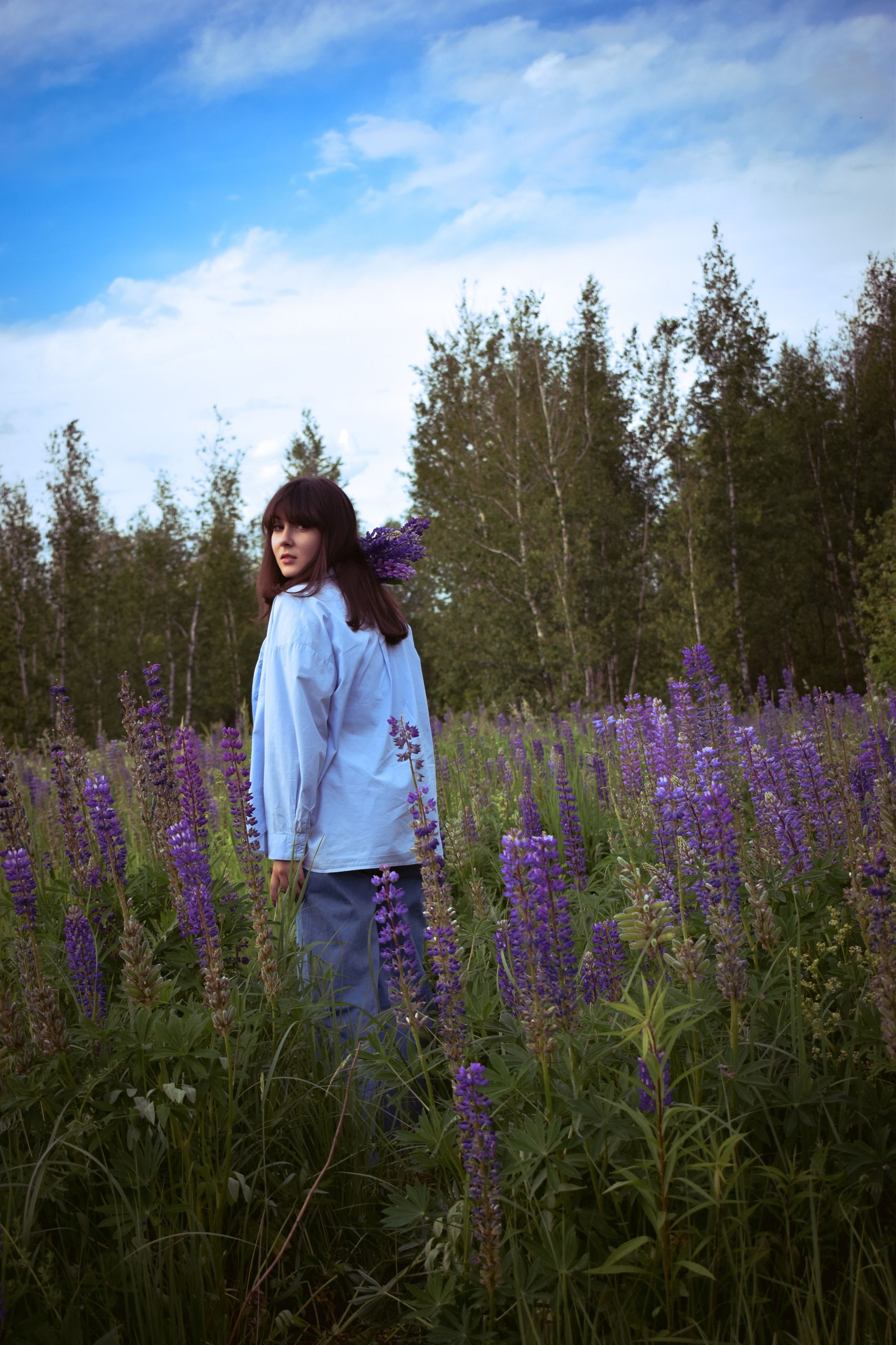 Сьемка в люпинах. Фотограф Москва