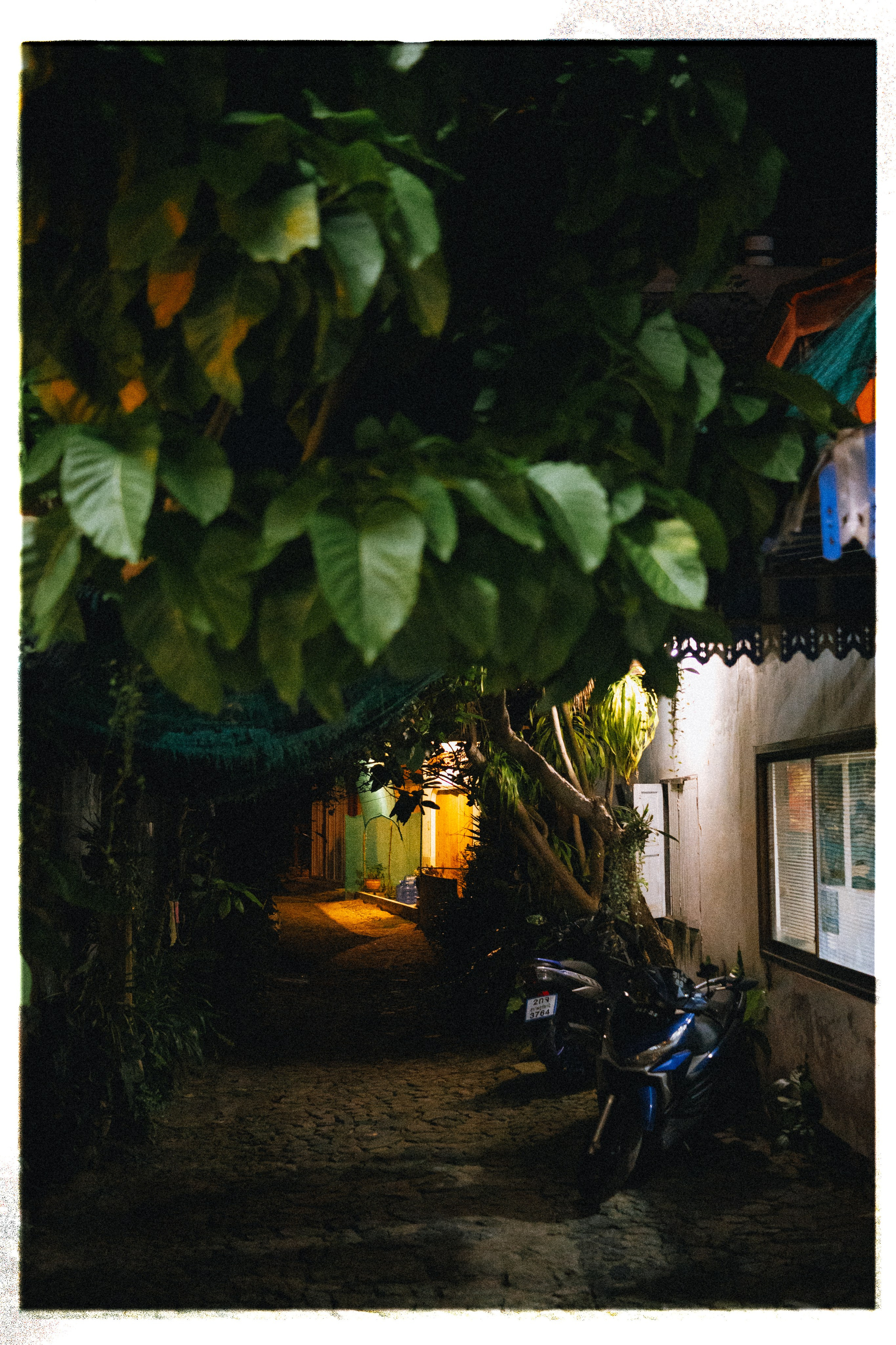 PAHNGAN 26. Свадебный и семейный фотограф Никита Корохов