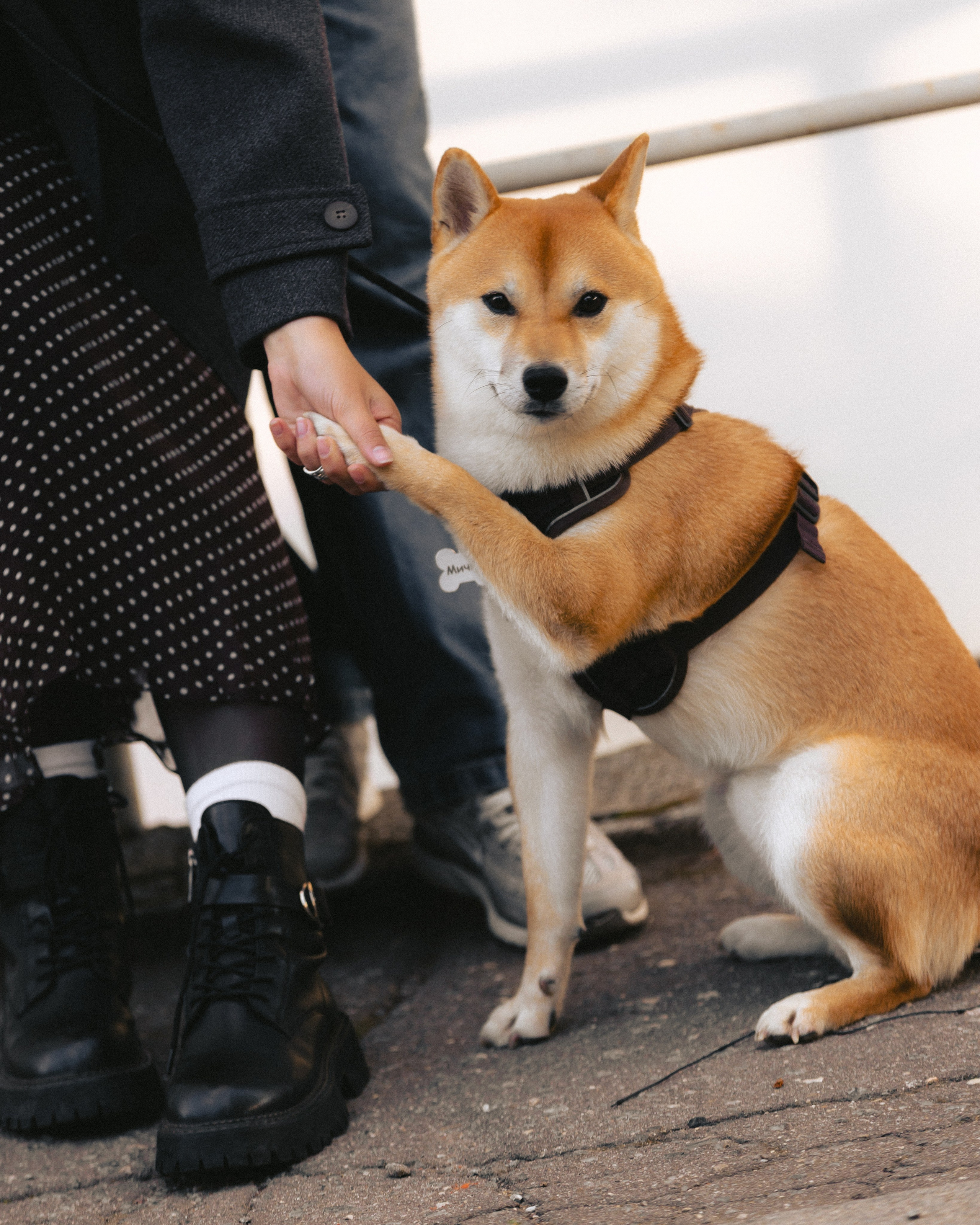 Коля и Маша. Ланемец Юлия — фотограф Волгоград/Волжский