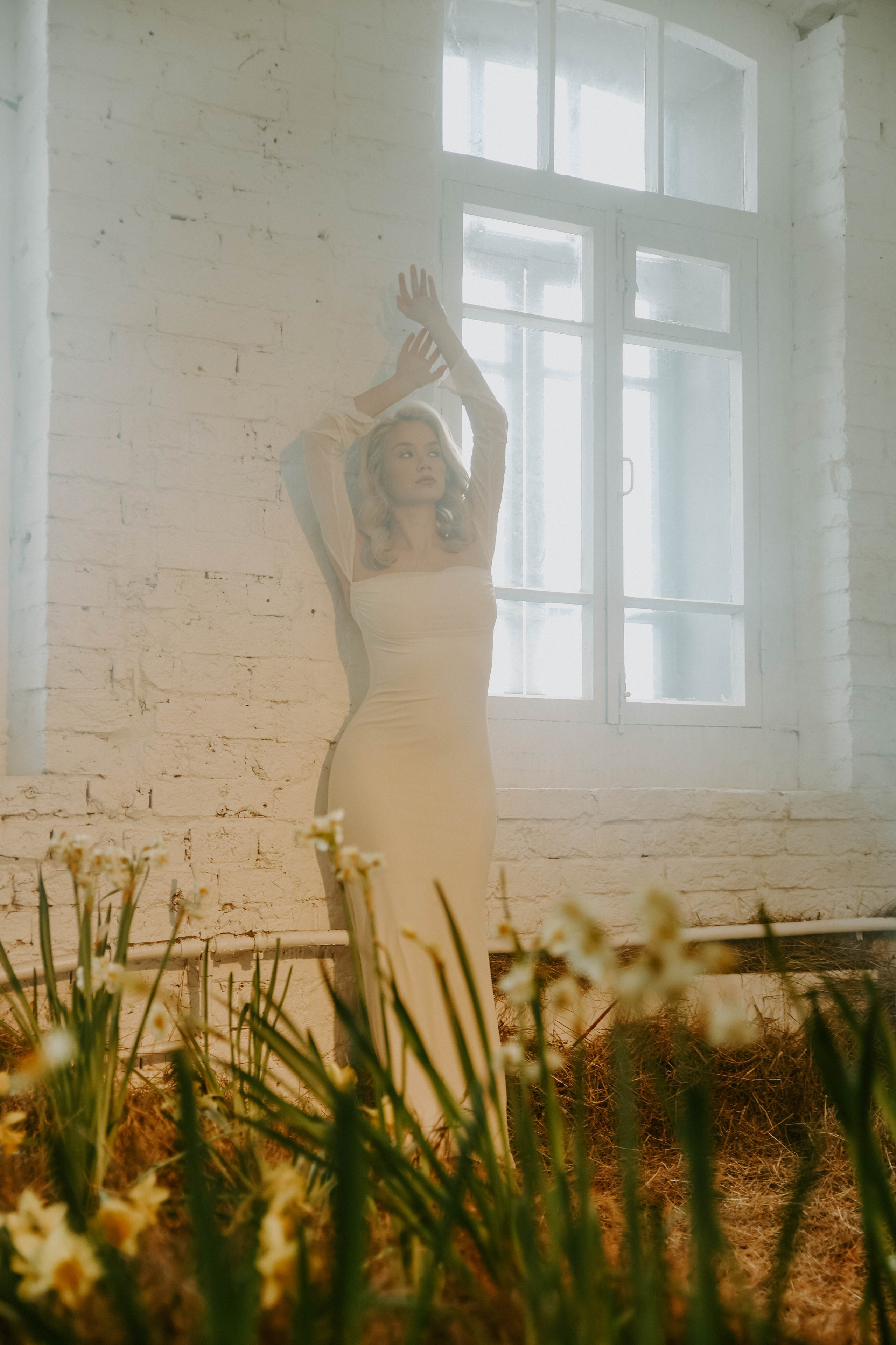 Весна. Нарциссы. Фотограф в Москве и любой точке земного шара Алёна Вялова (Чулкова)