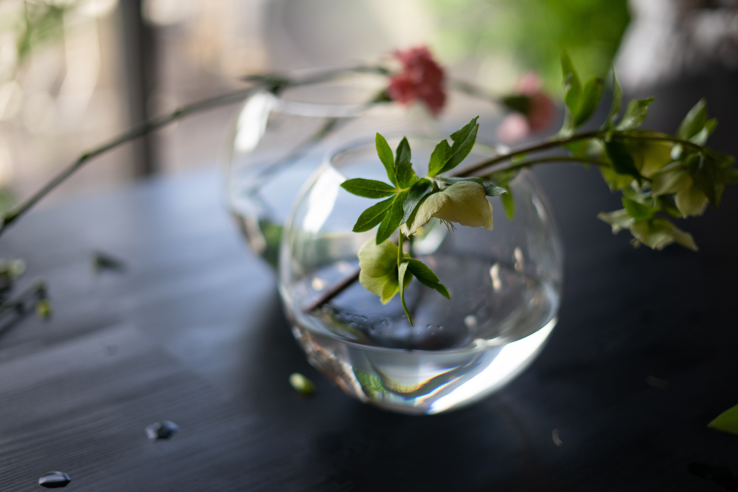 MC from a florist. Портретный и семейный фотограф в Мариуполе, РФ. Даша Жогло