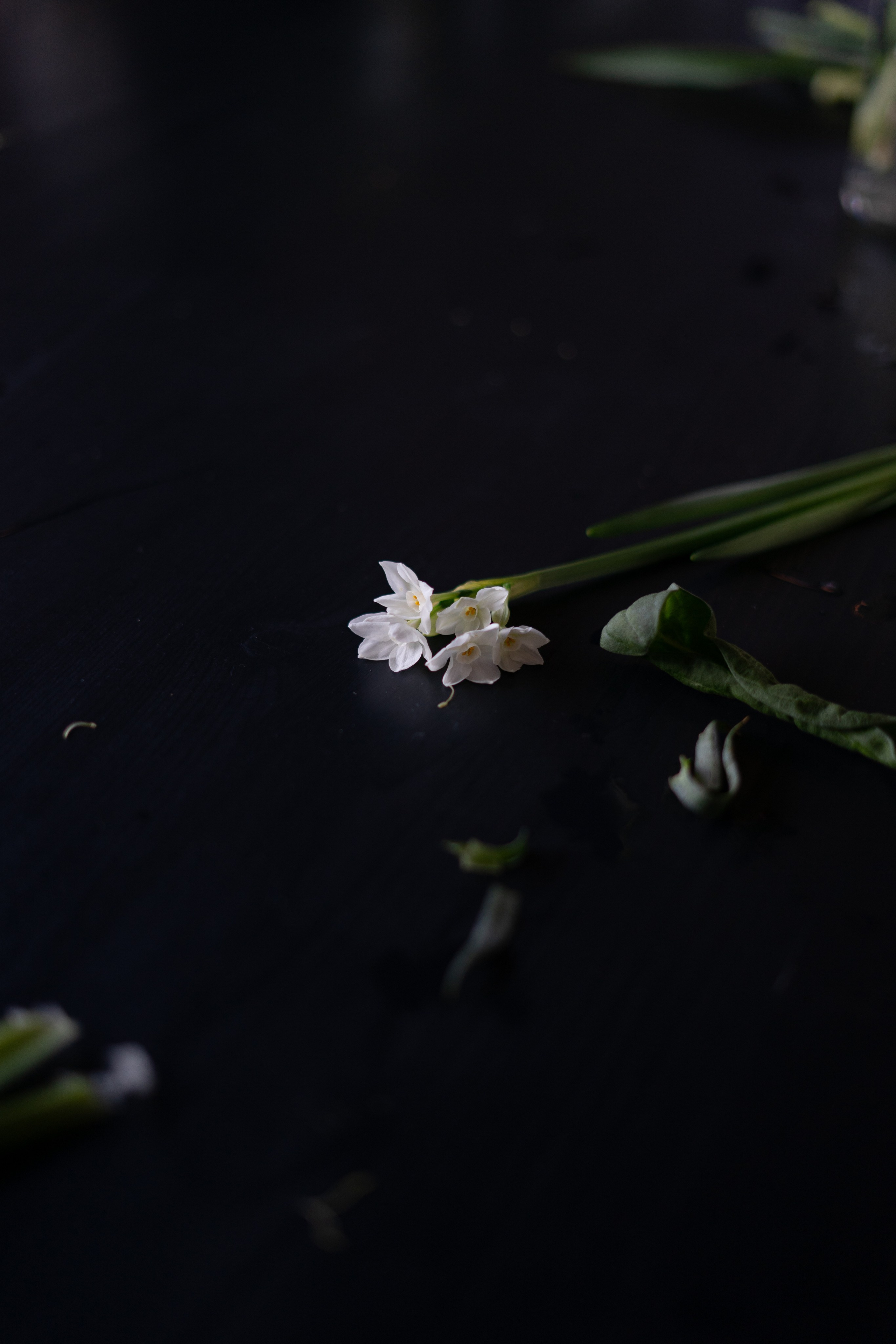 MC from a florist. Портретный и семейный фотограф в Мариуполе, РФ. Даша Жогло