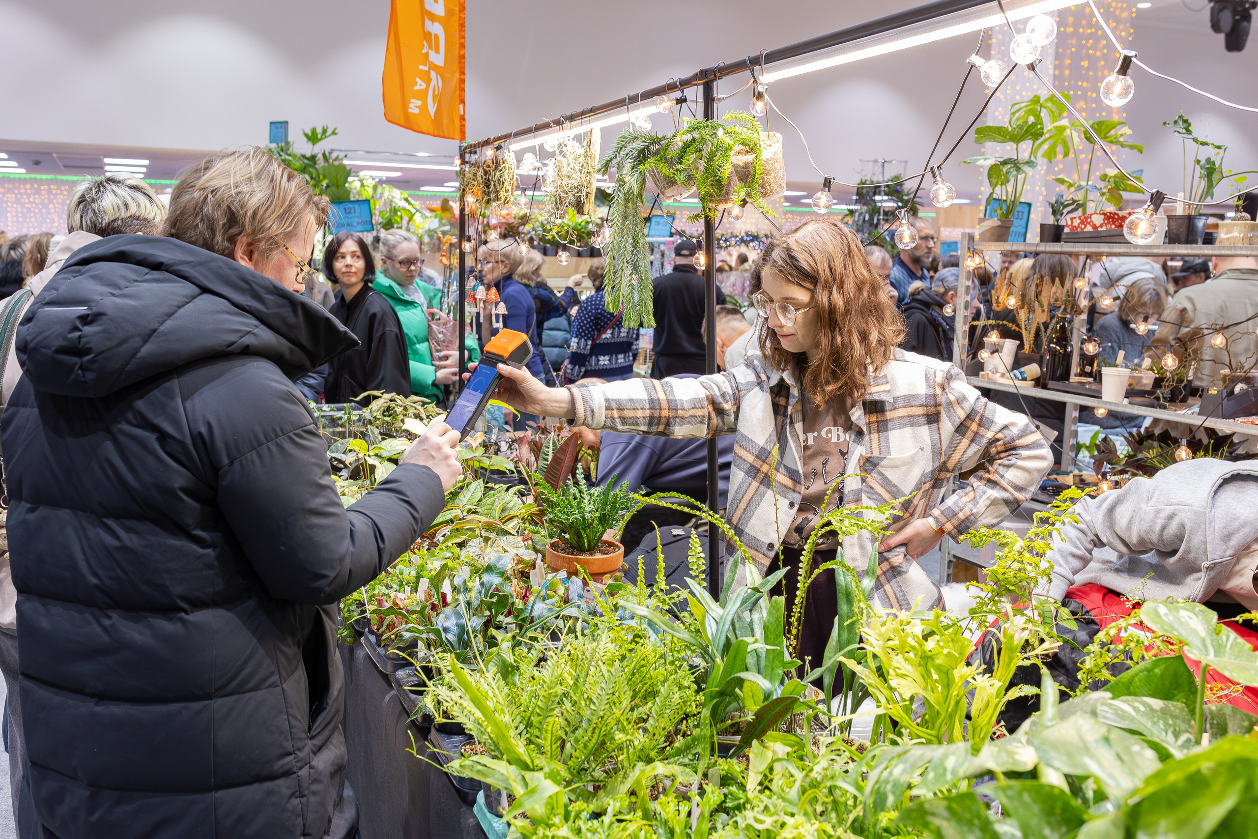 Орхидиум 12.2025. Александра Куликова фотограф, Москва