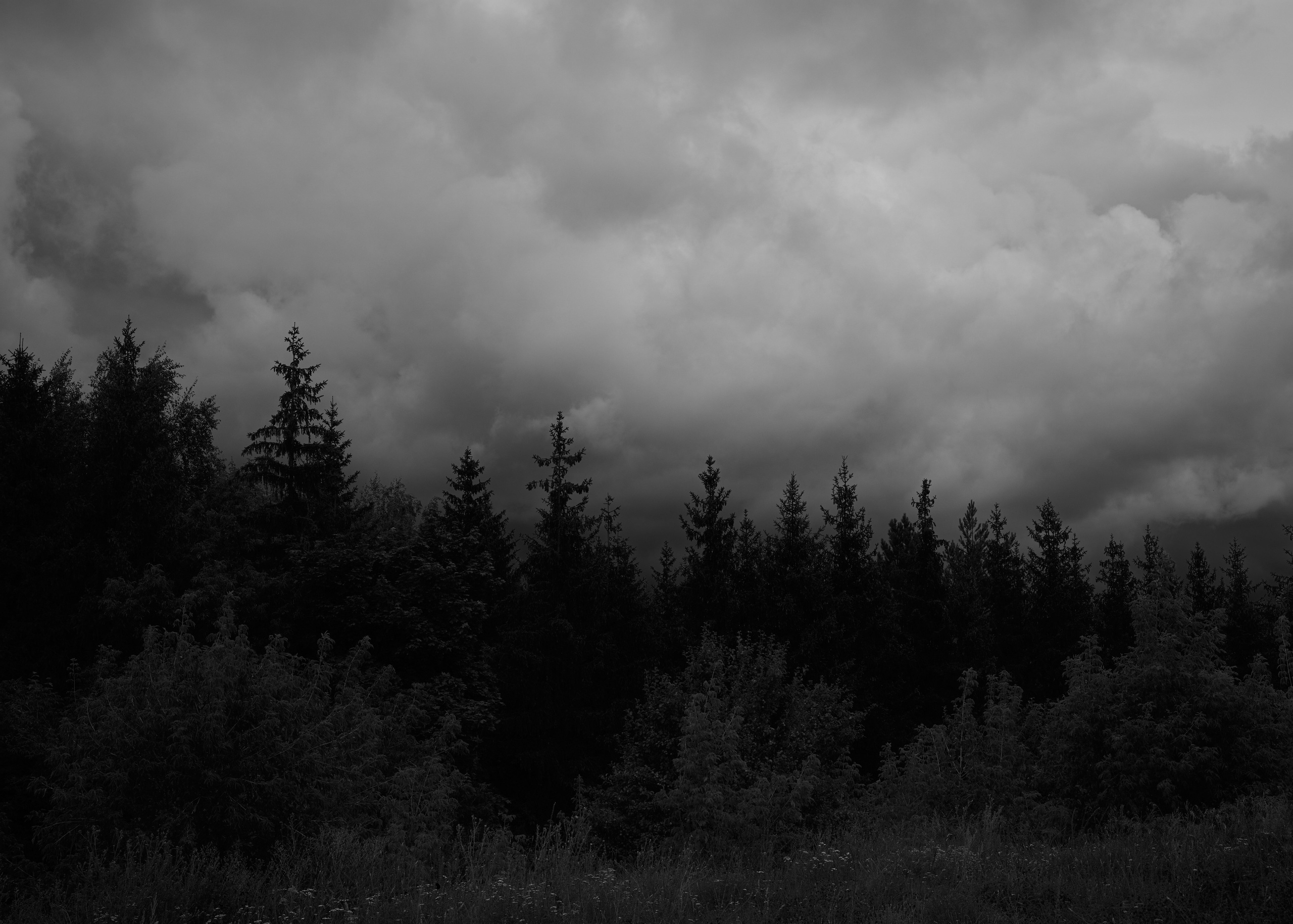 RUSSIA. Daniil Khaitseer photography Даниил Хайцеэр фотограф