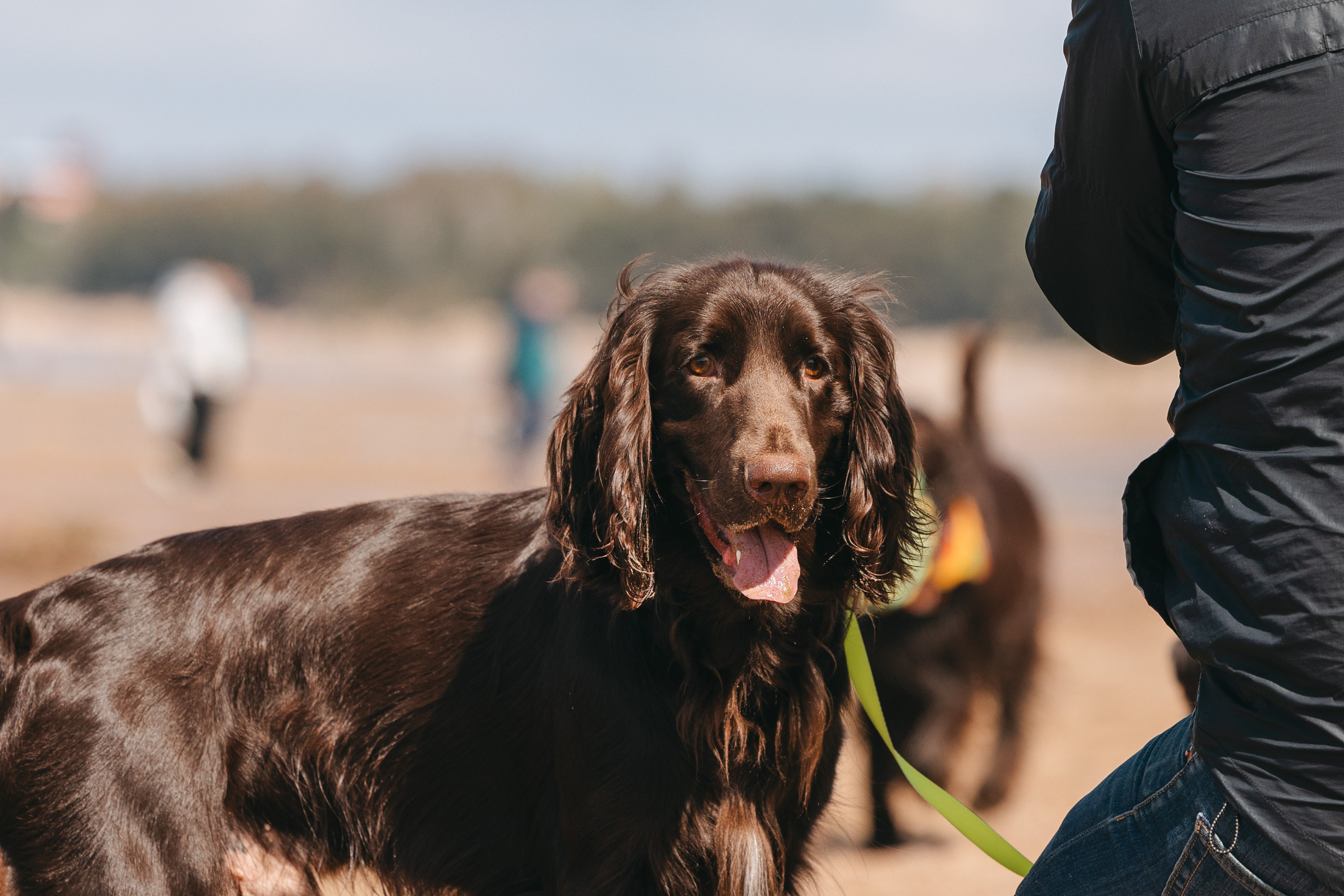 Спанимания. Фотограф анималист Осипчикова Мария