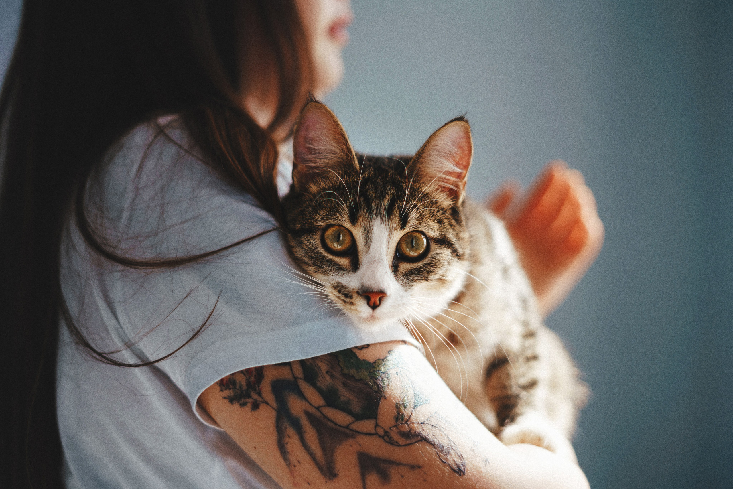 Фотограф анималист Осипчикова Мария